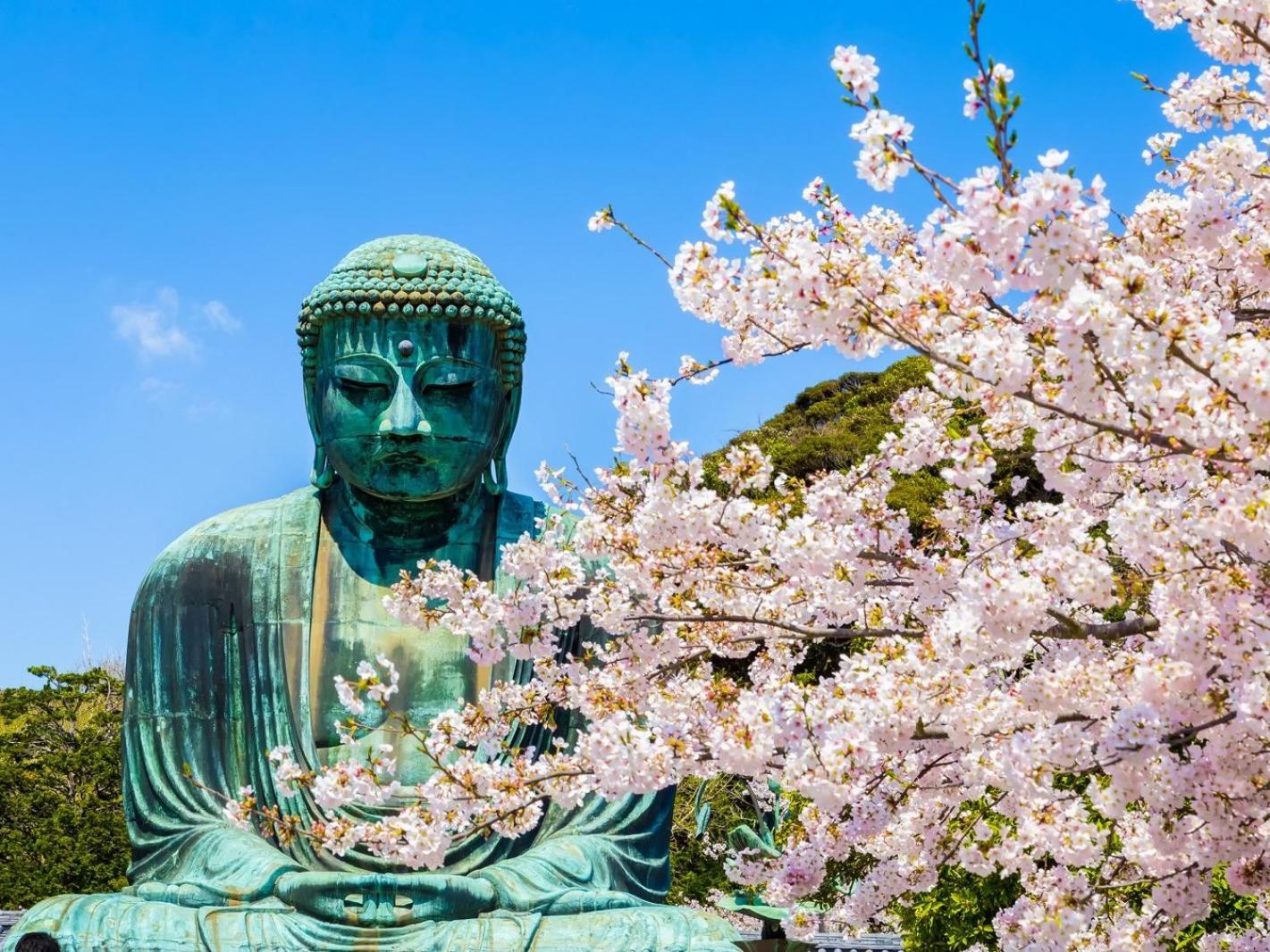 WeBase KAMAKURA