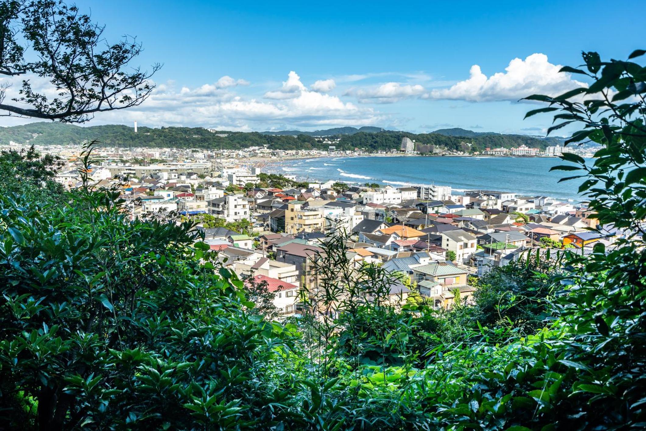 WeBase KAMAKURA