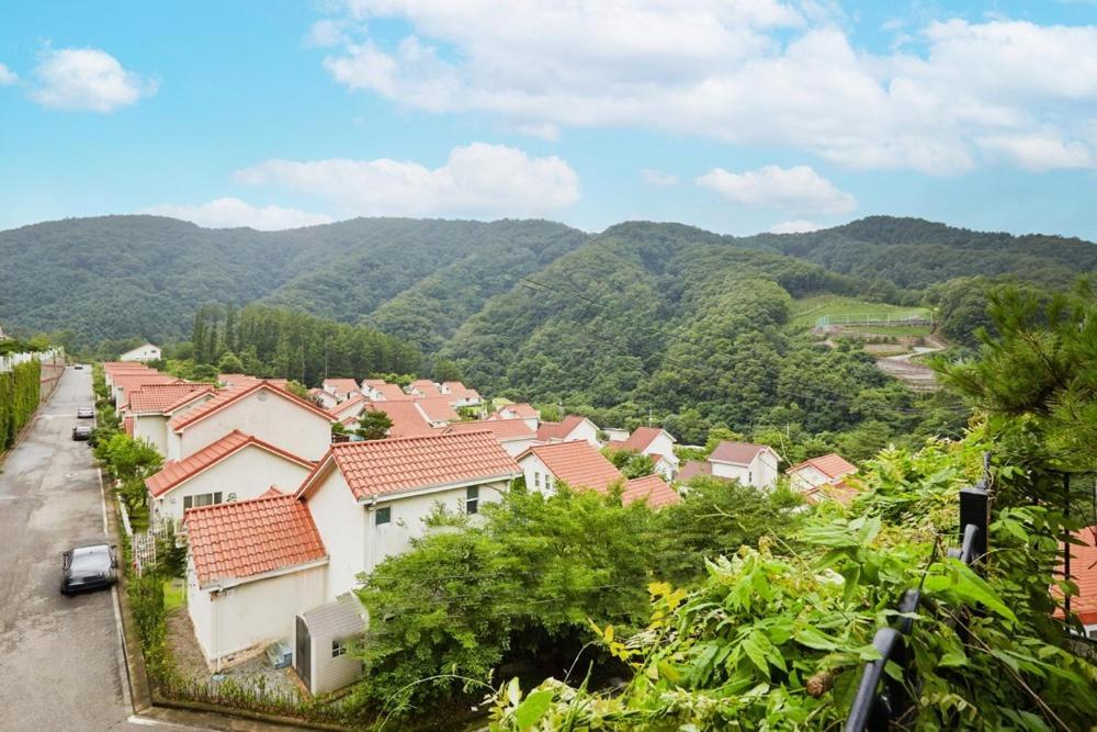 Hongcheon Ariwon Pension view 4