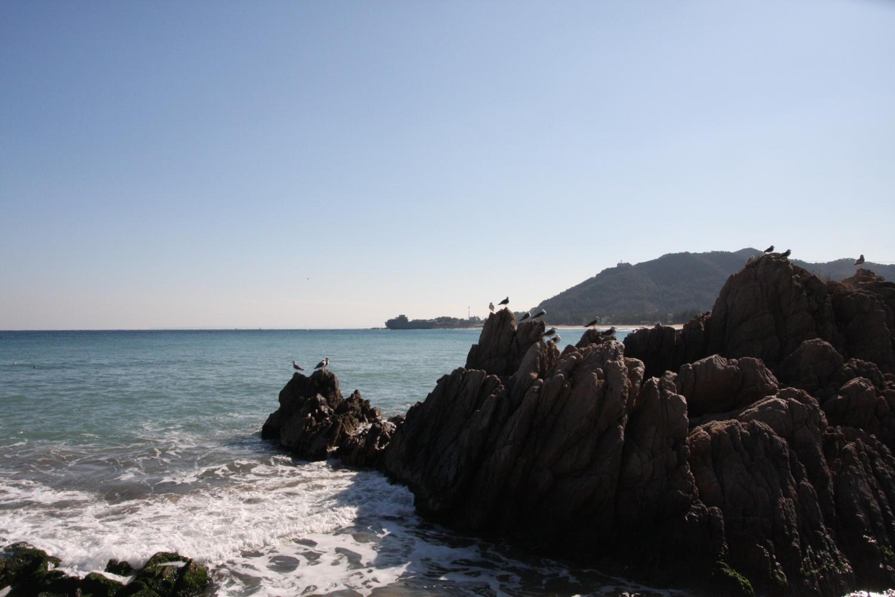 Yeongduk Blue Beach Pension