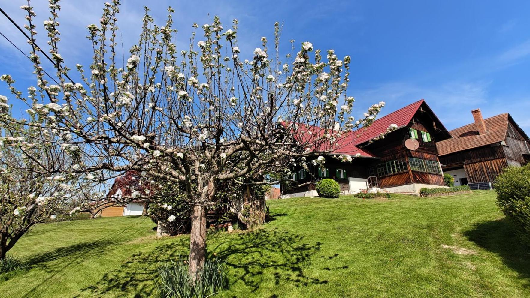 Ferienhaus Müller Bauernhaus