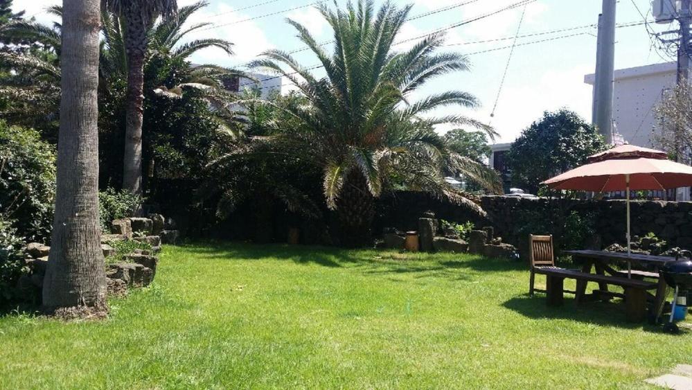 Jeju Junny Binny House Bed and Breakfast view 5