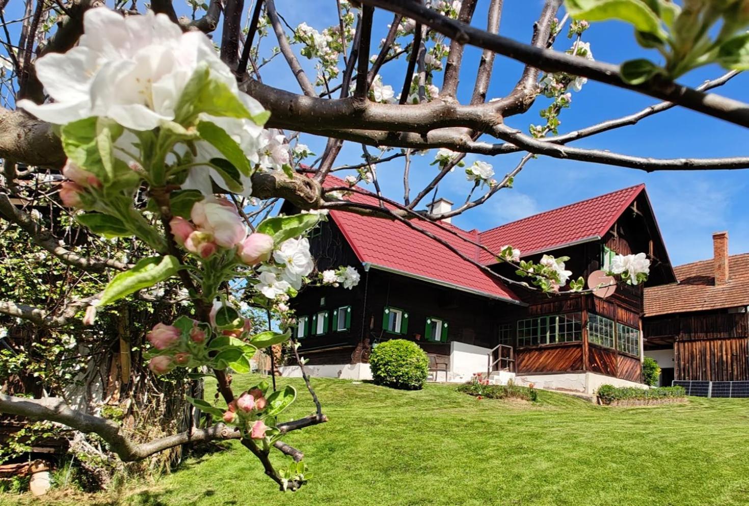 Ferienhaus Müller Bauernhaus