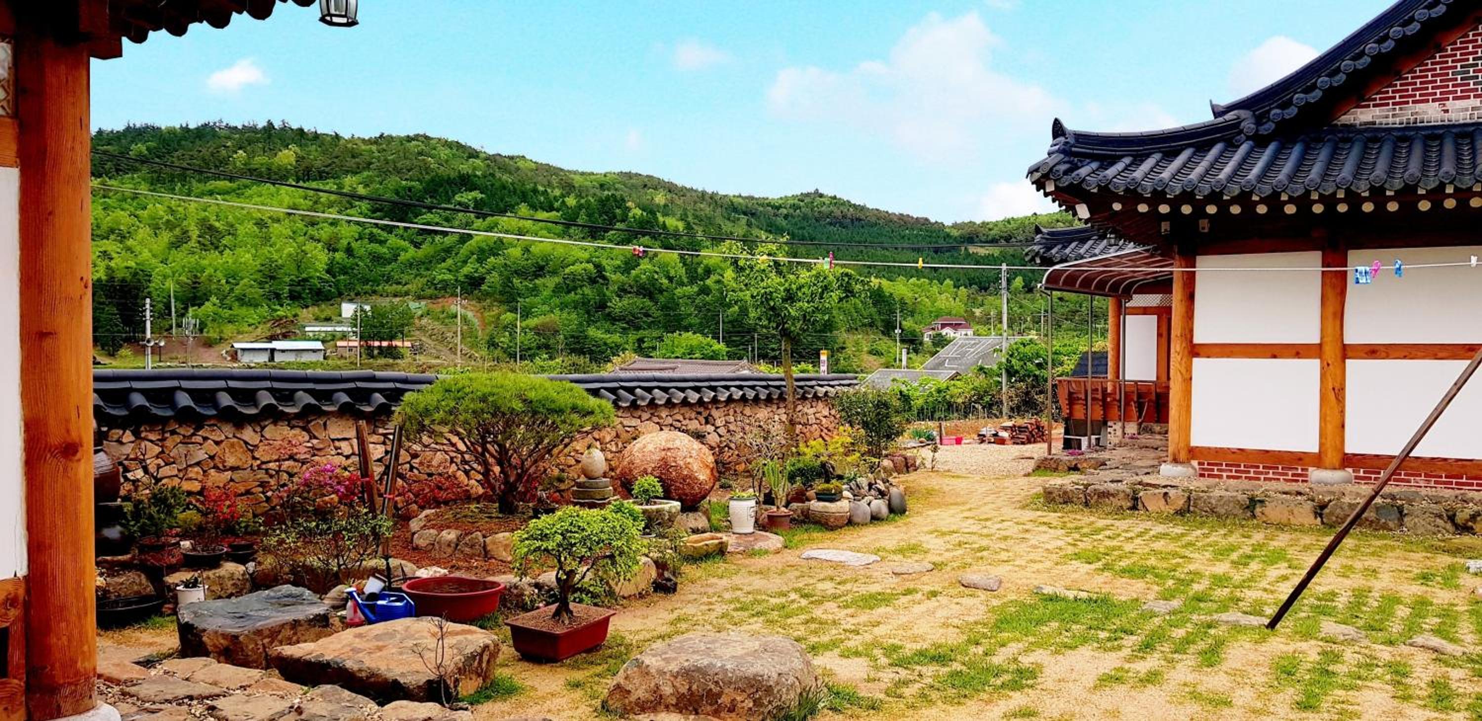 boseong sujinhanog pensyeon view 5