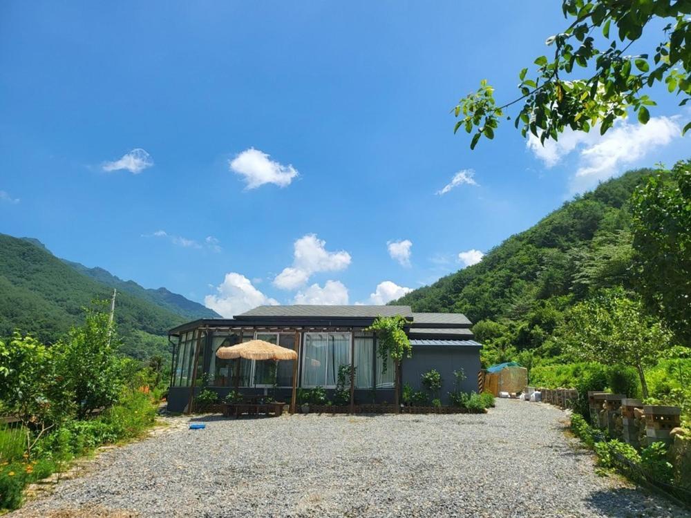 Danyang Forest 67 view 3