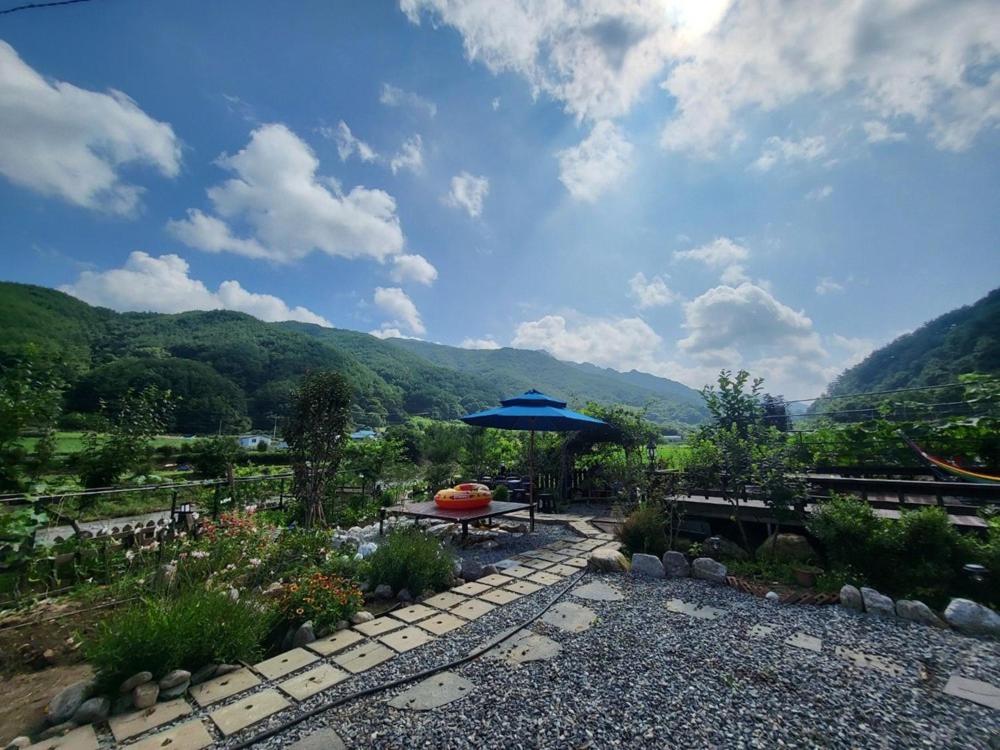 Danyang Forest 67 view 5