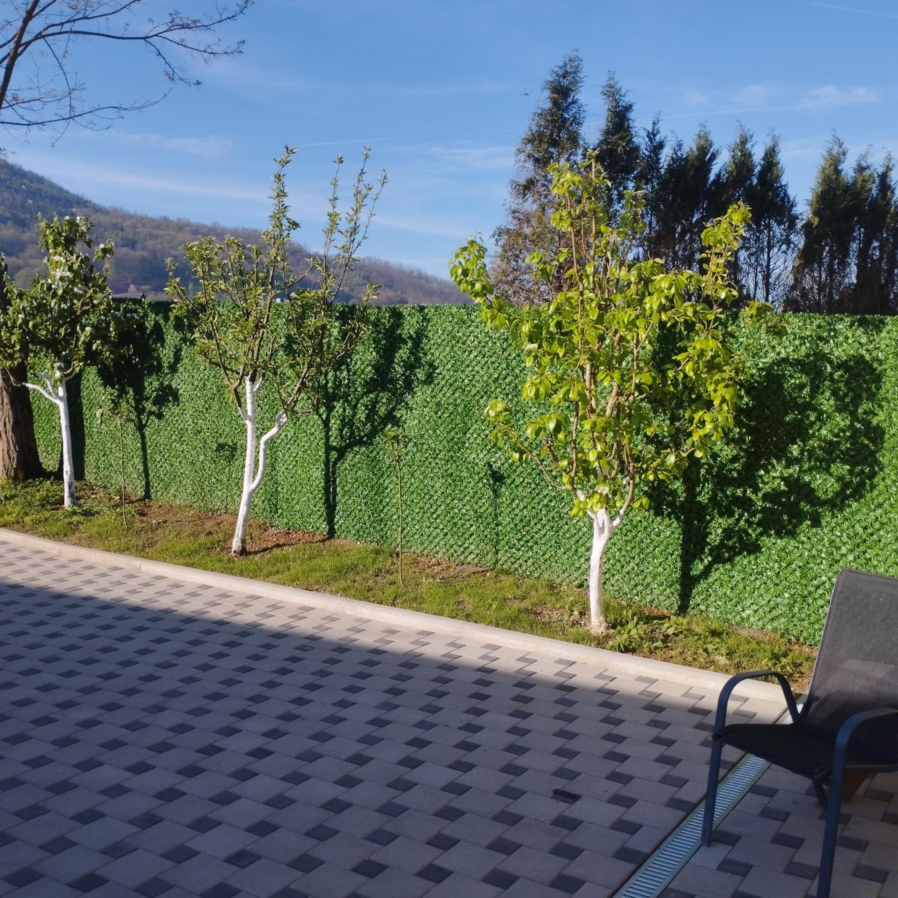 Vila Dom Drina Zatvoreni Bazen view 4