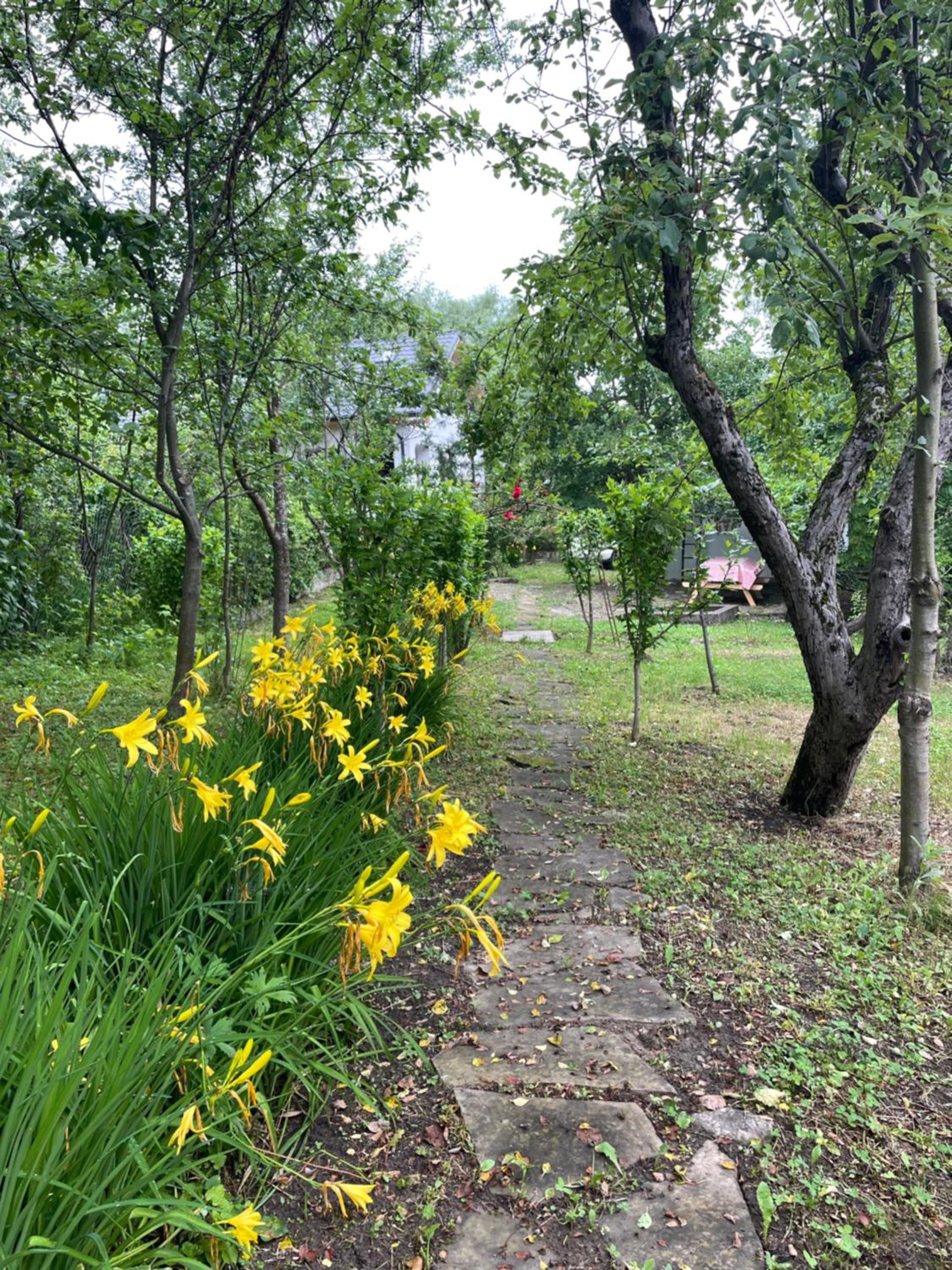 Photo 25
