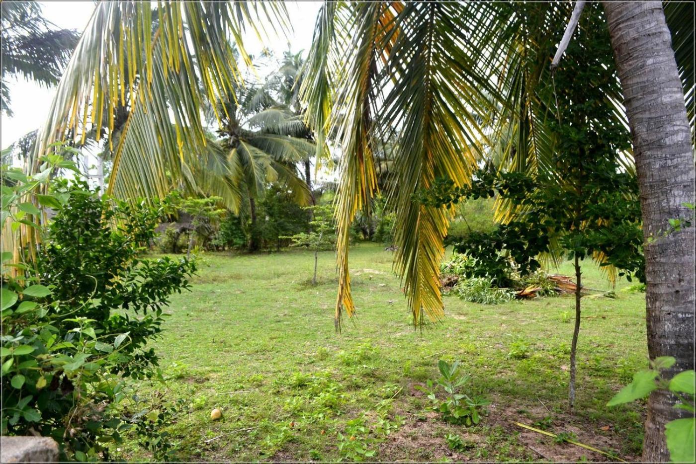 Photo 31