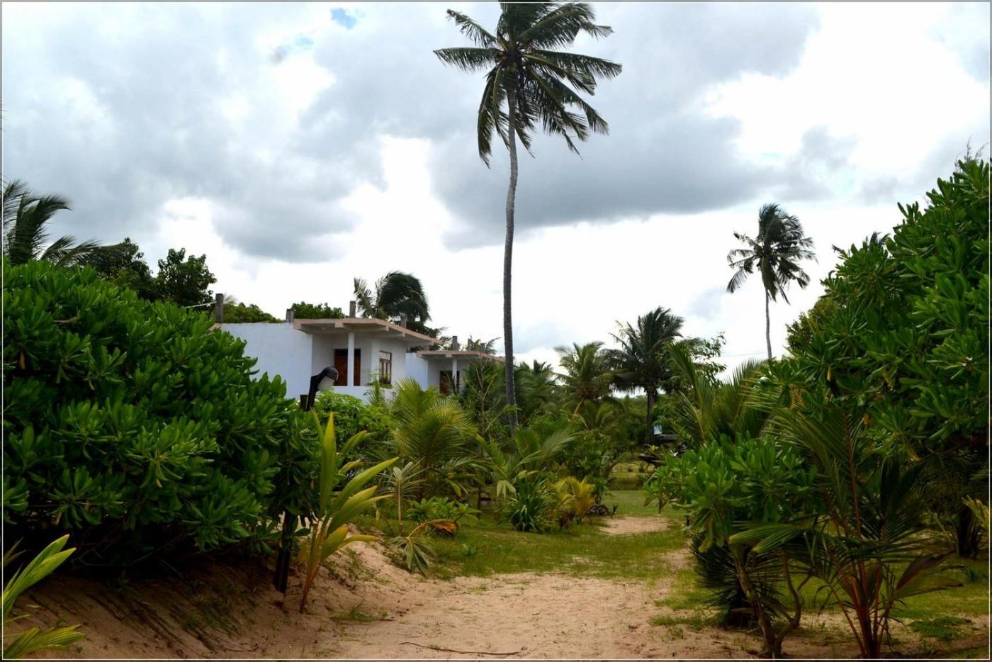 Photo 43