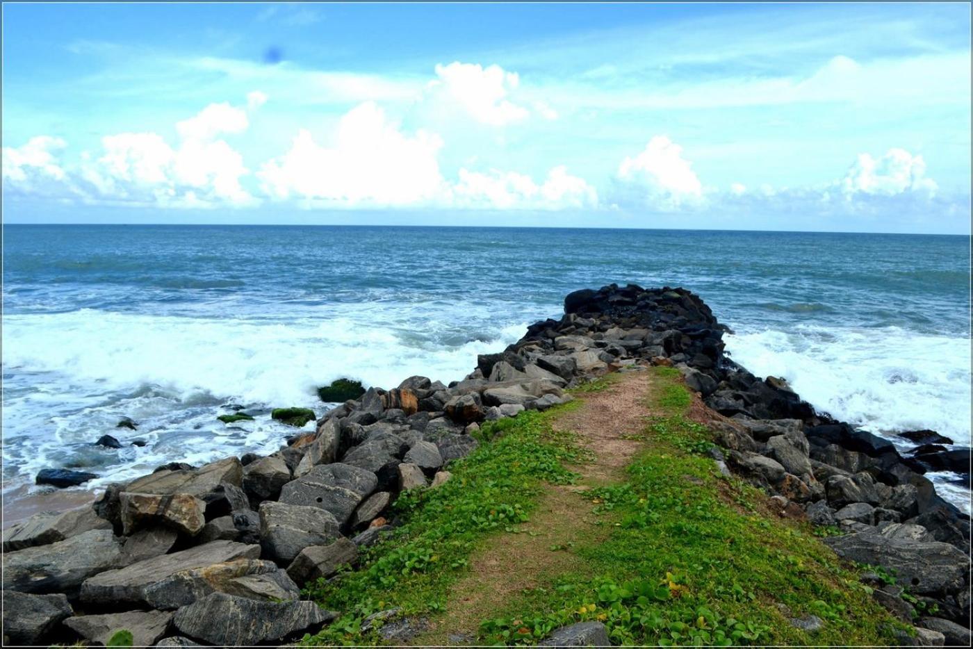 Photo 45