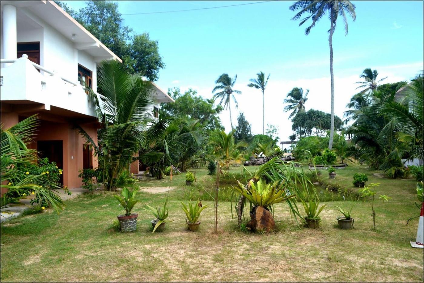 Photo 46