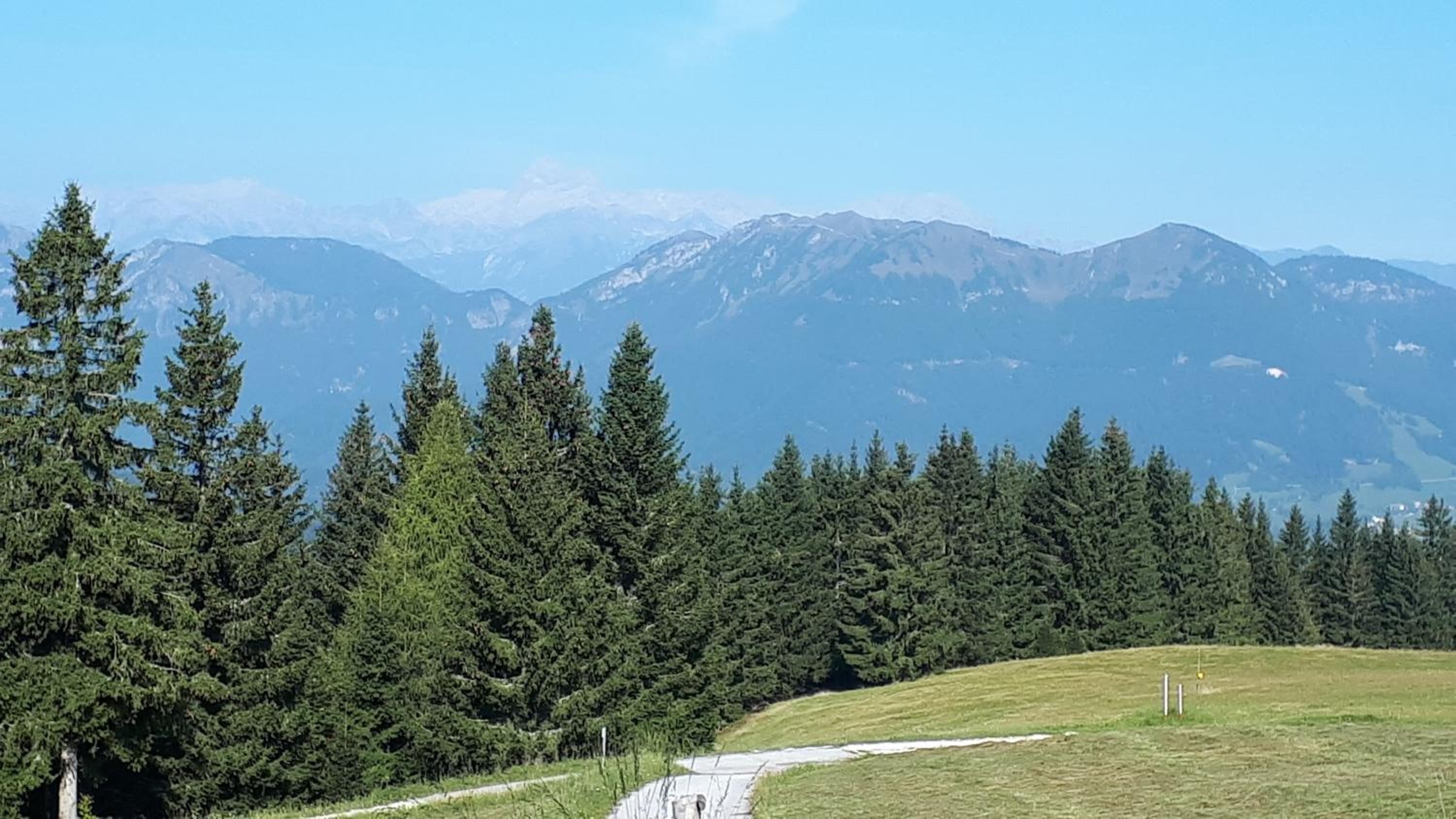 Apartmaji Srnca