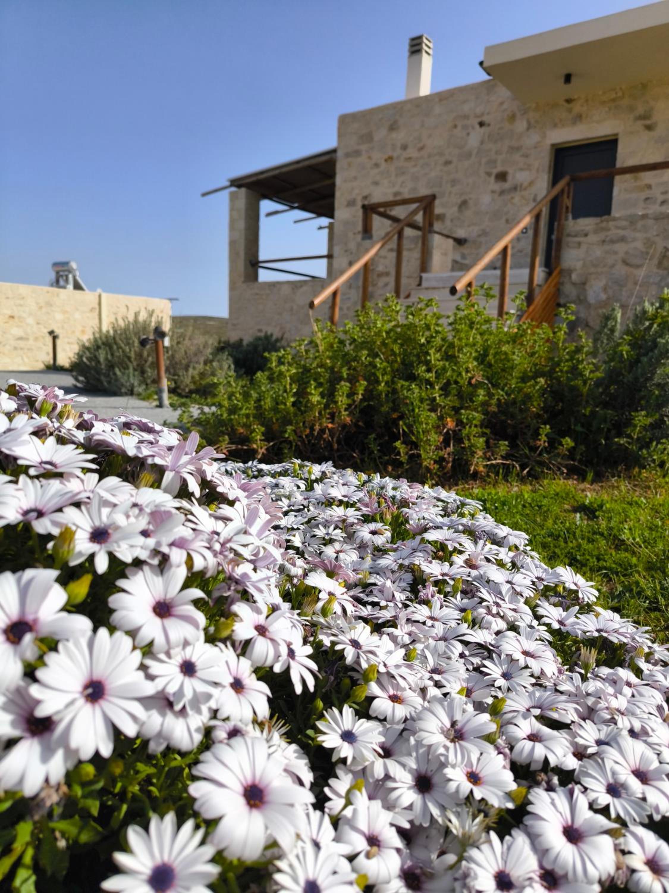 Alagni Cretan Resort