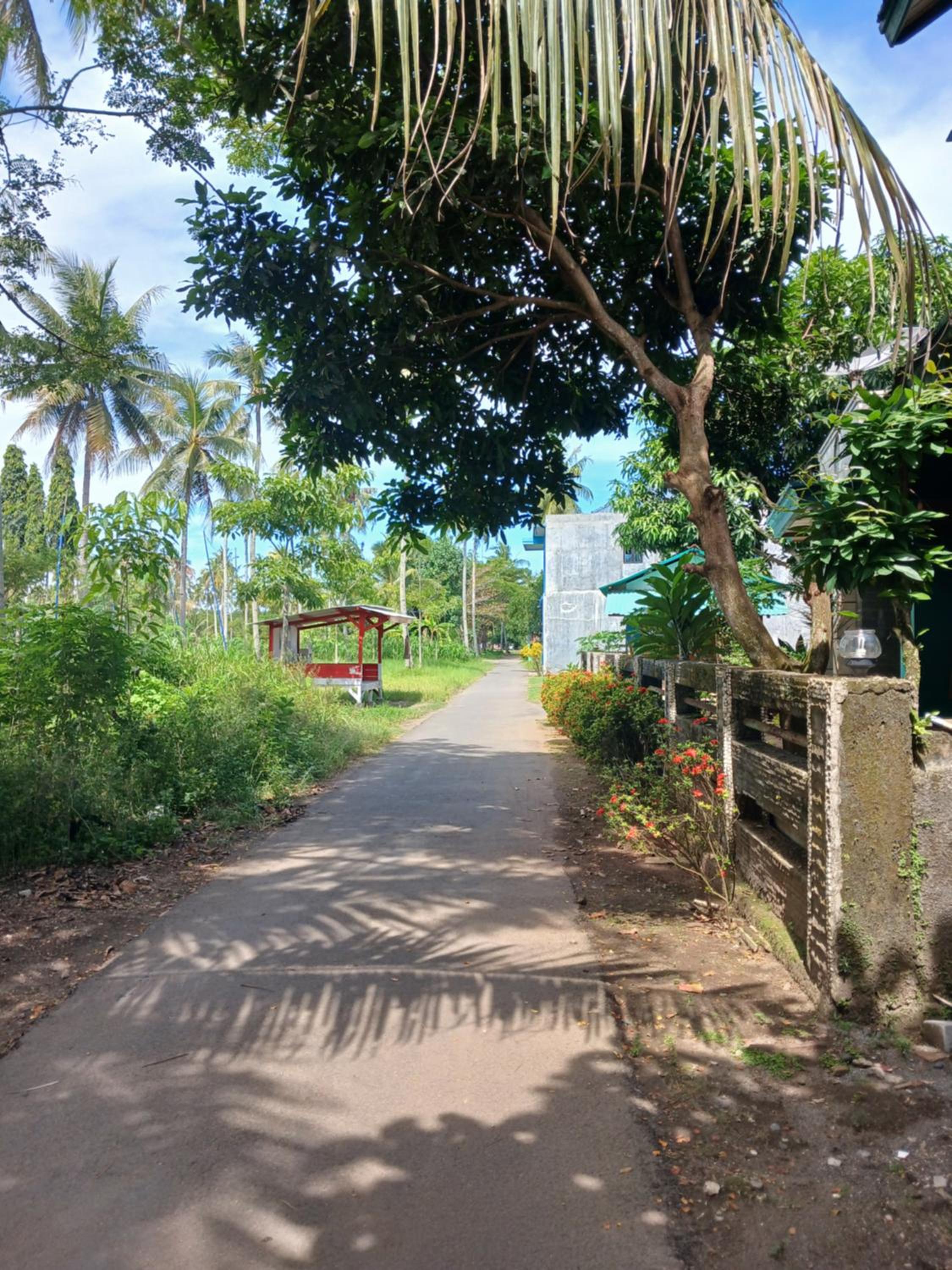 Sea zone view 2