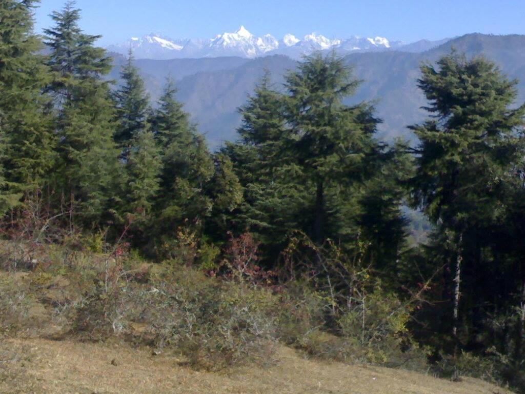 Comet Himalayan Paradise Homestay, Munsiyari view 5
