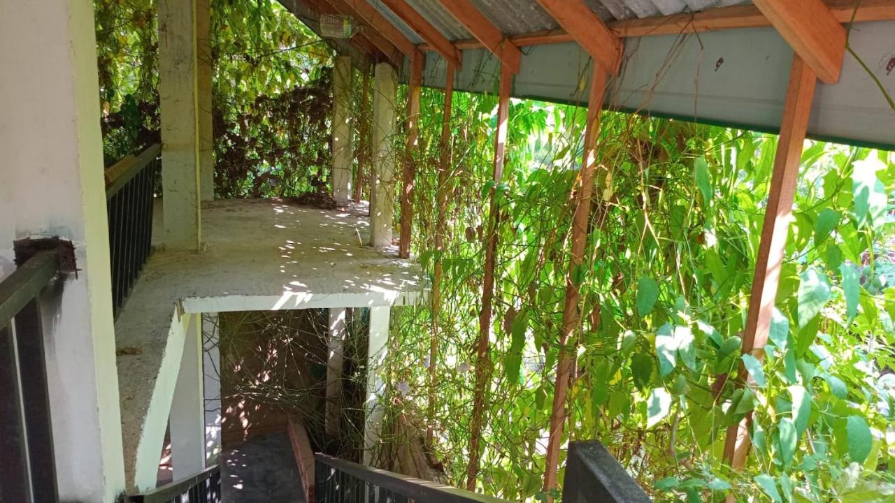Jo Jo Family Resort