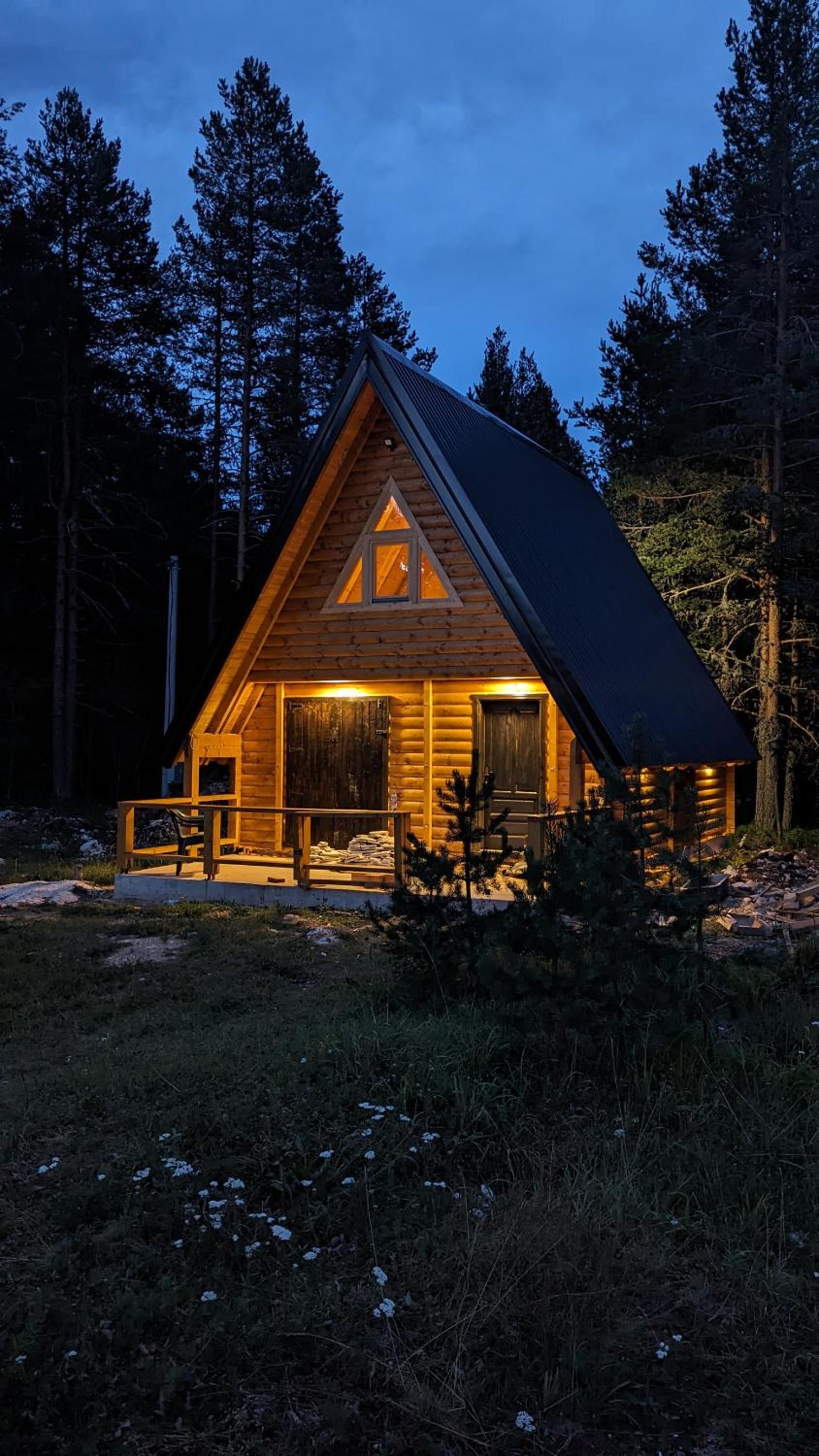 Pine forest-White view 4