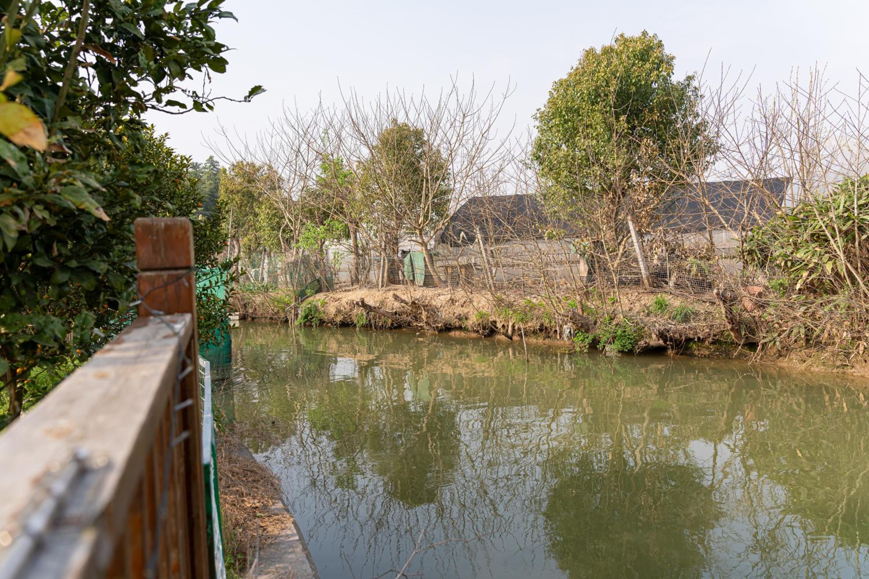 Shanghai Riverview Vacation Villa