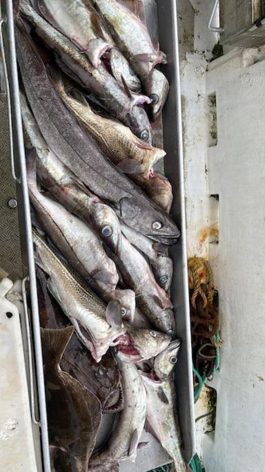 Krokenes
