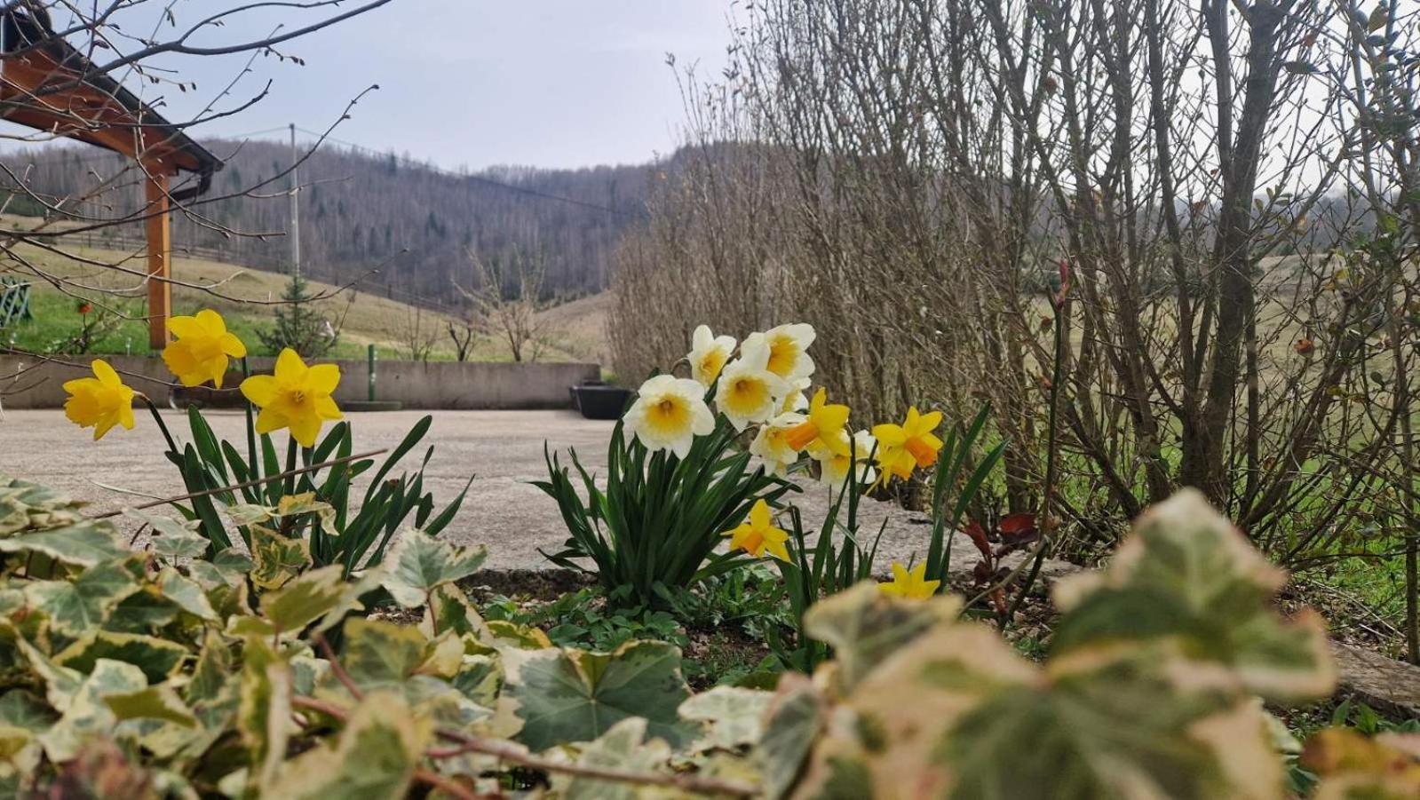 Trebecaj gardens