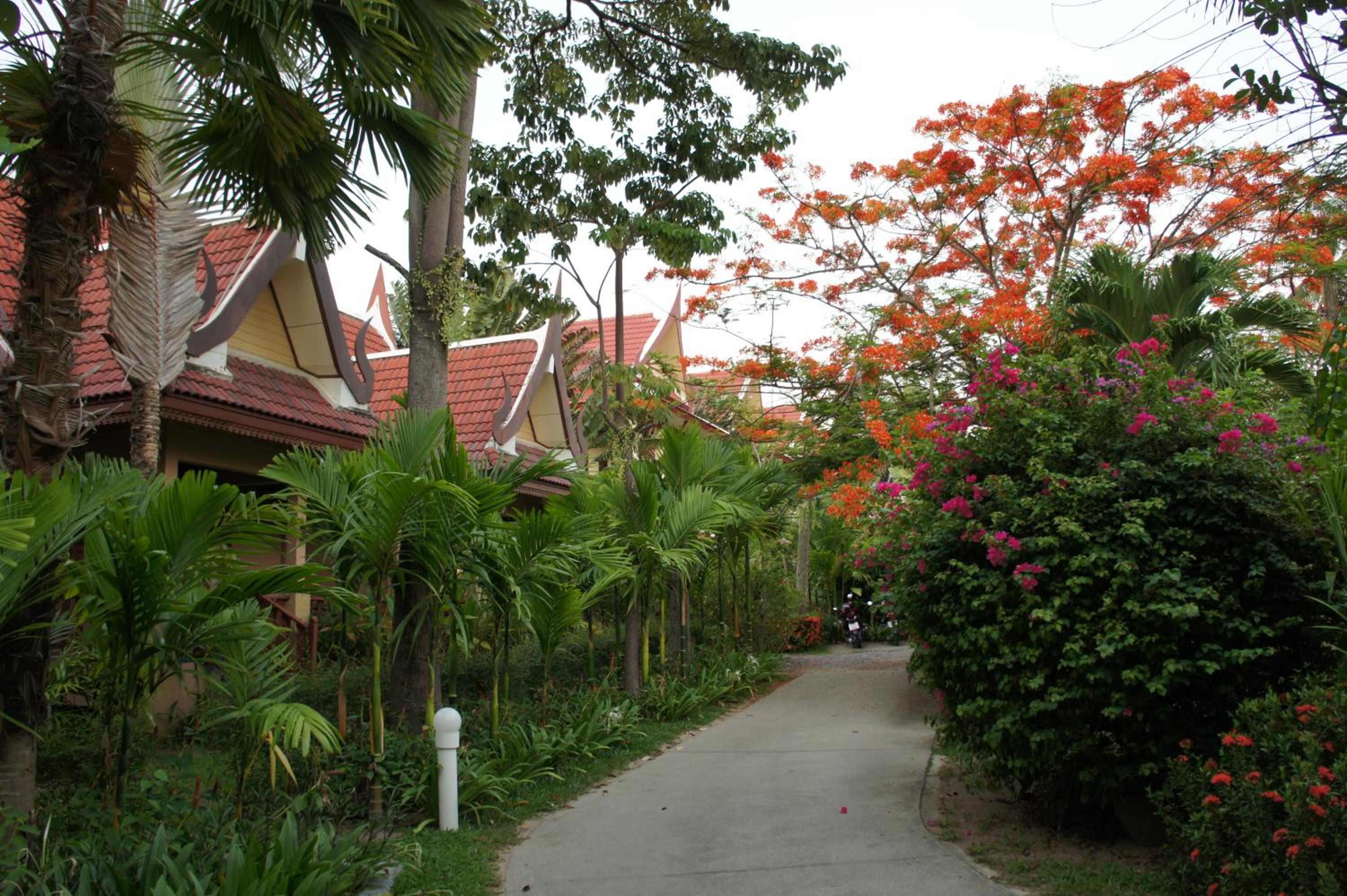 Palm Village