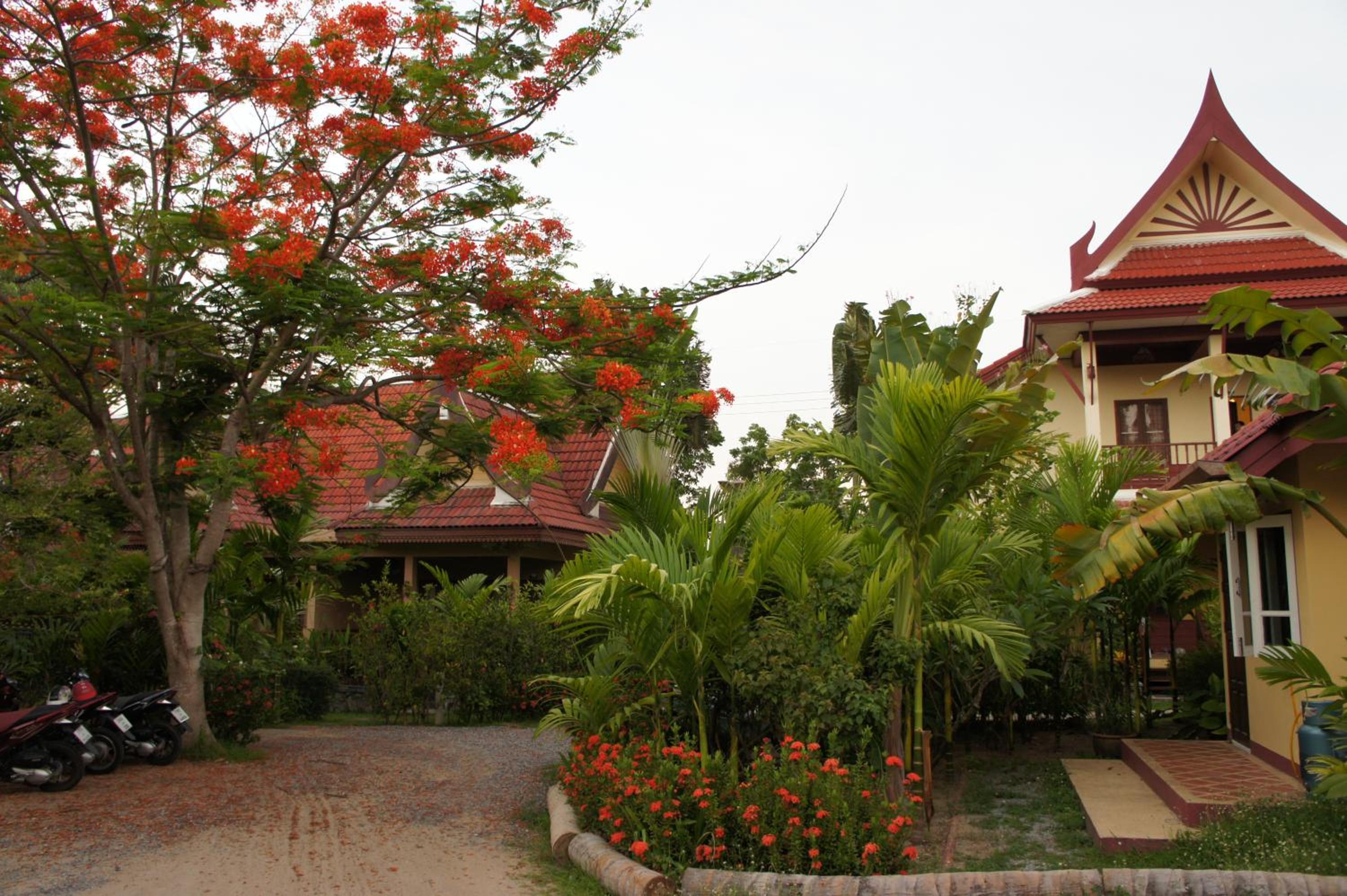 Palm Village