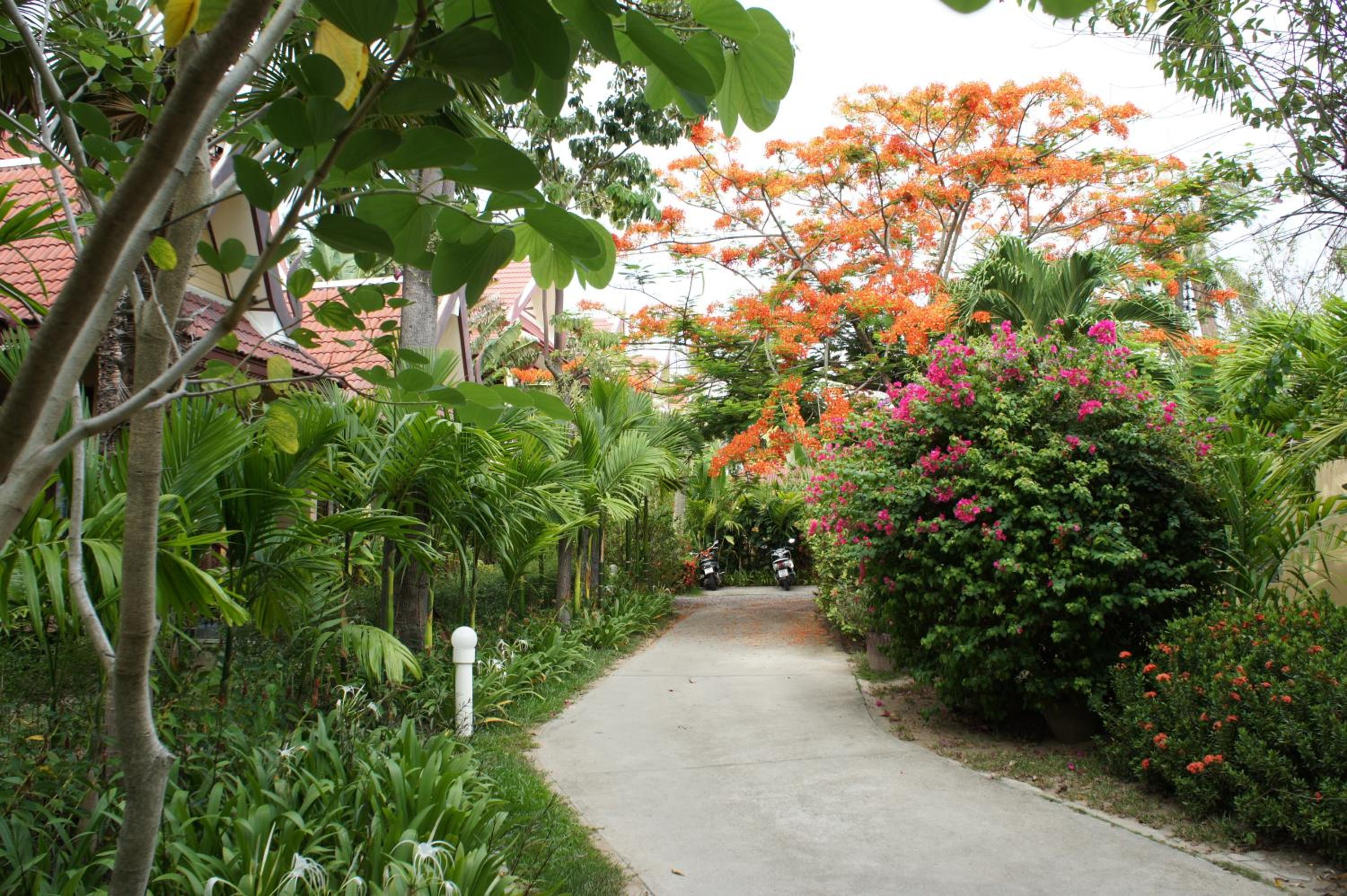 Palm Village