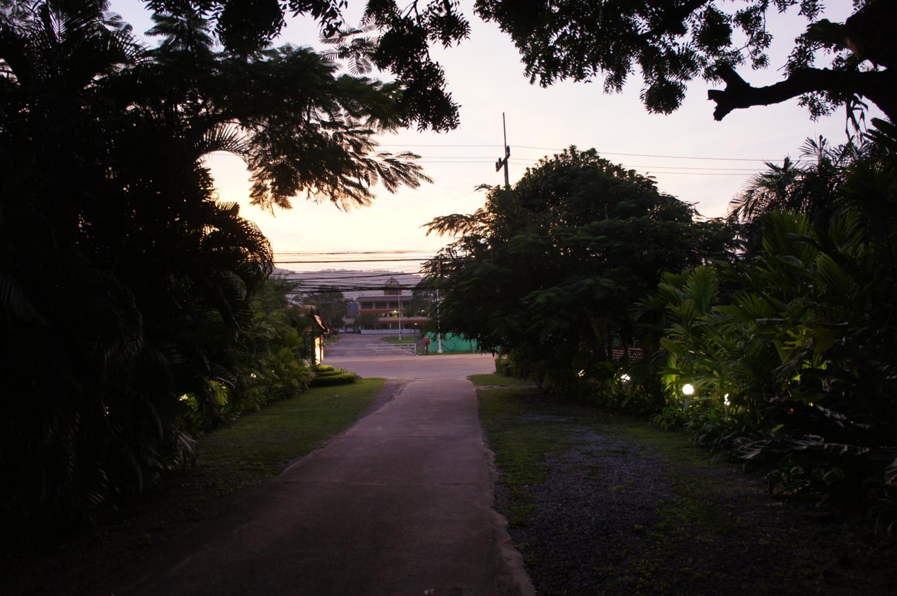 Palm Village