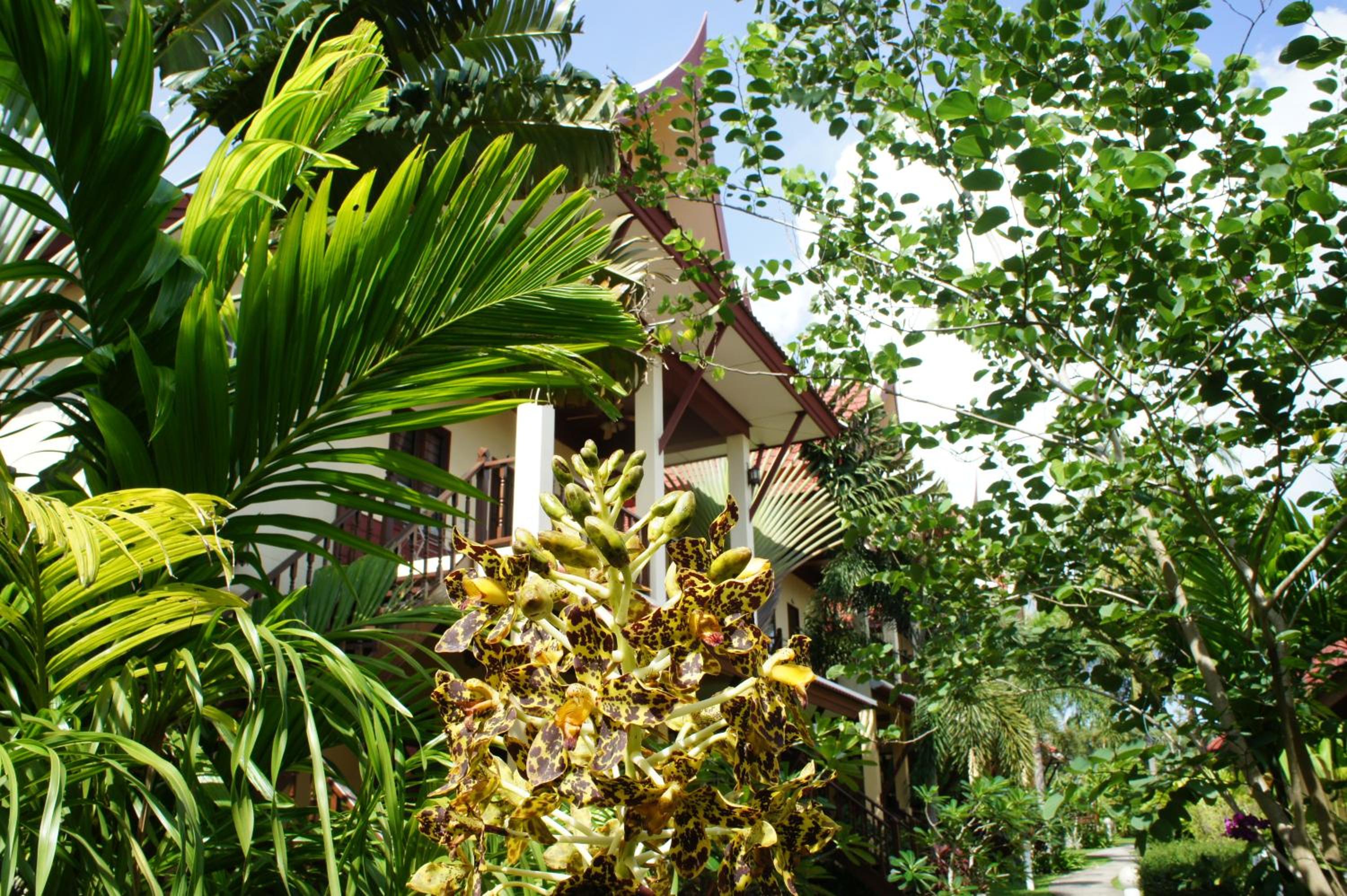 Palm Village