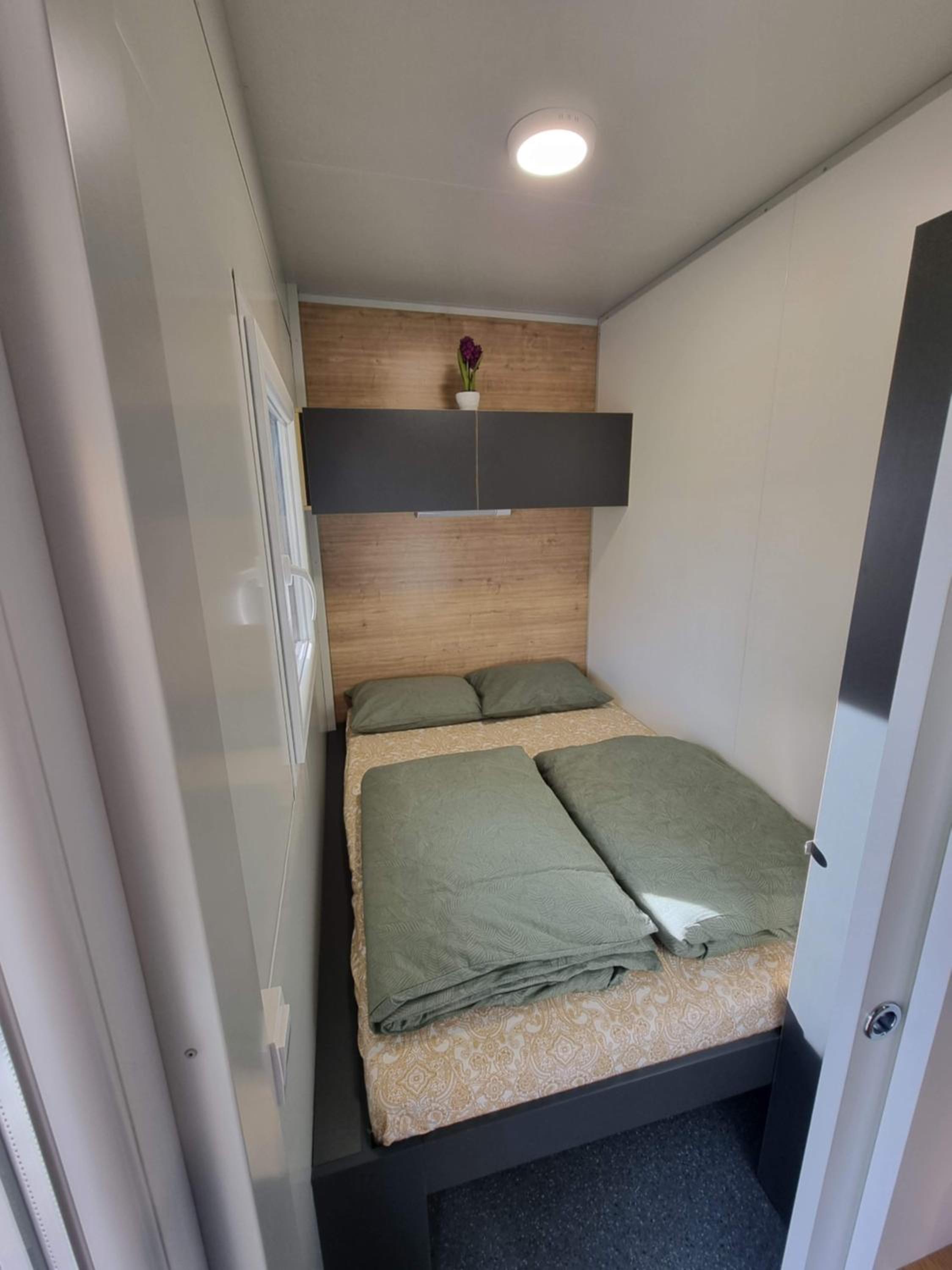 Arabela Puntica