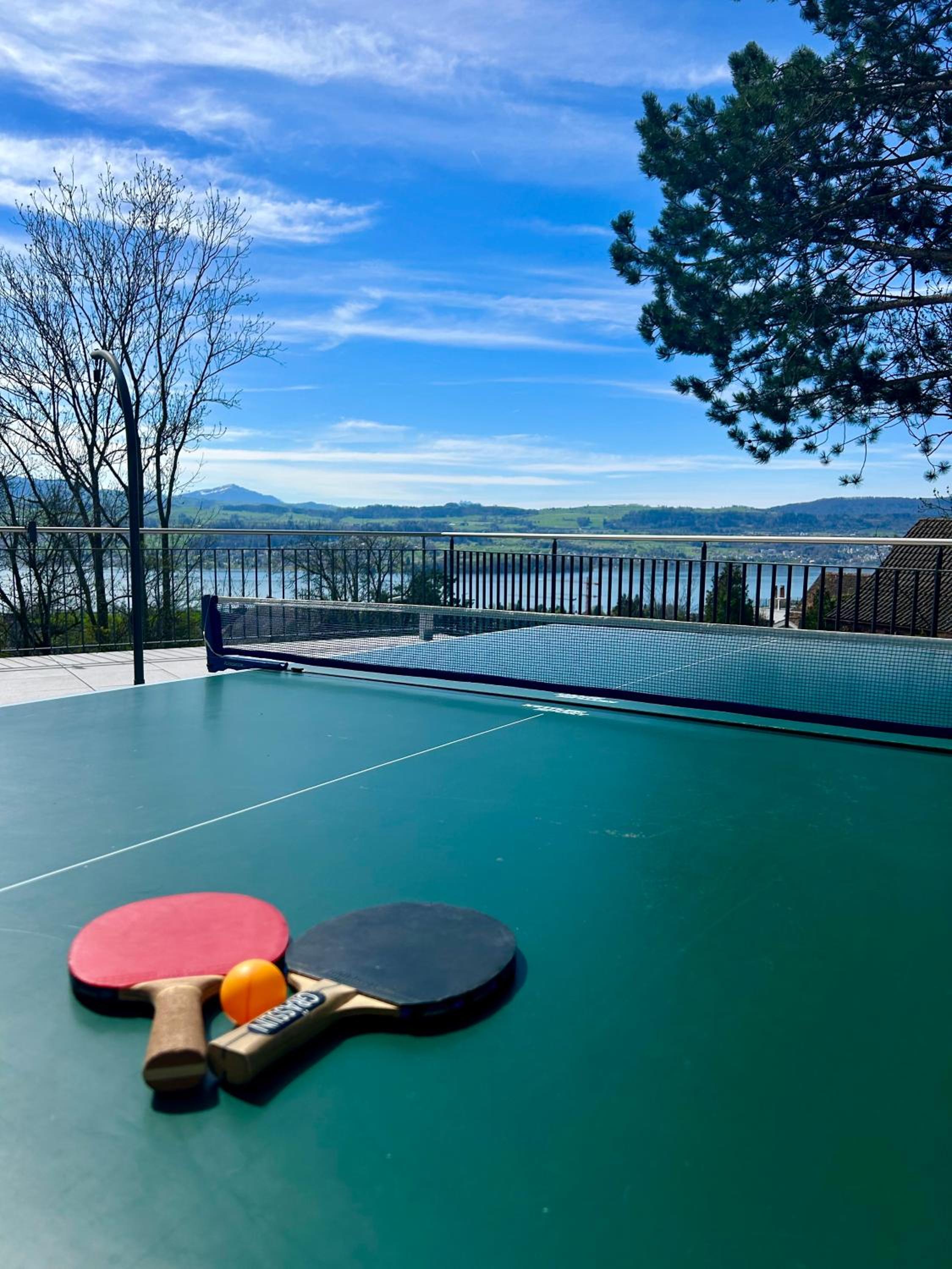 Modern Studio with Lake View near Zurich