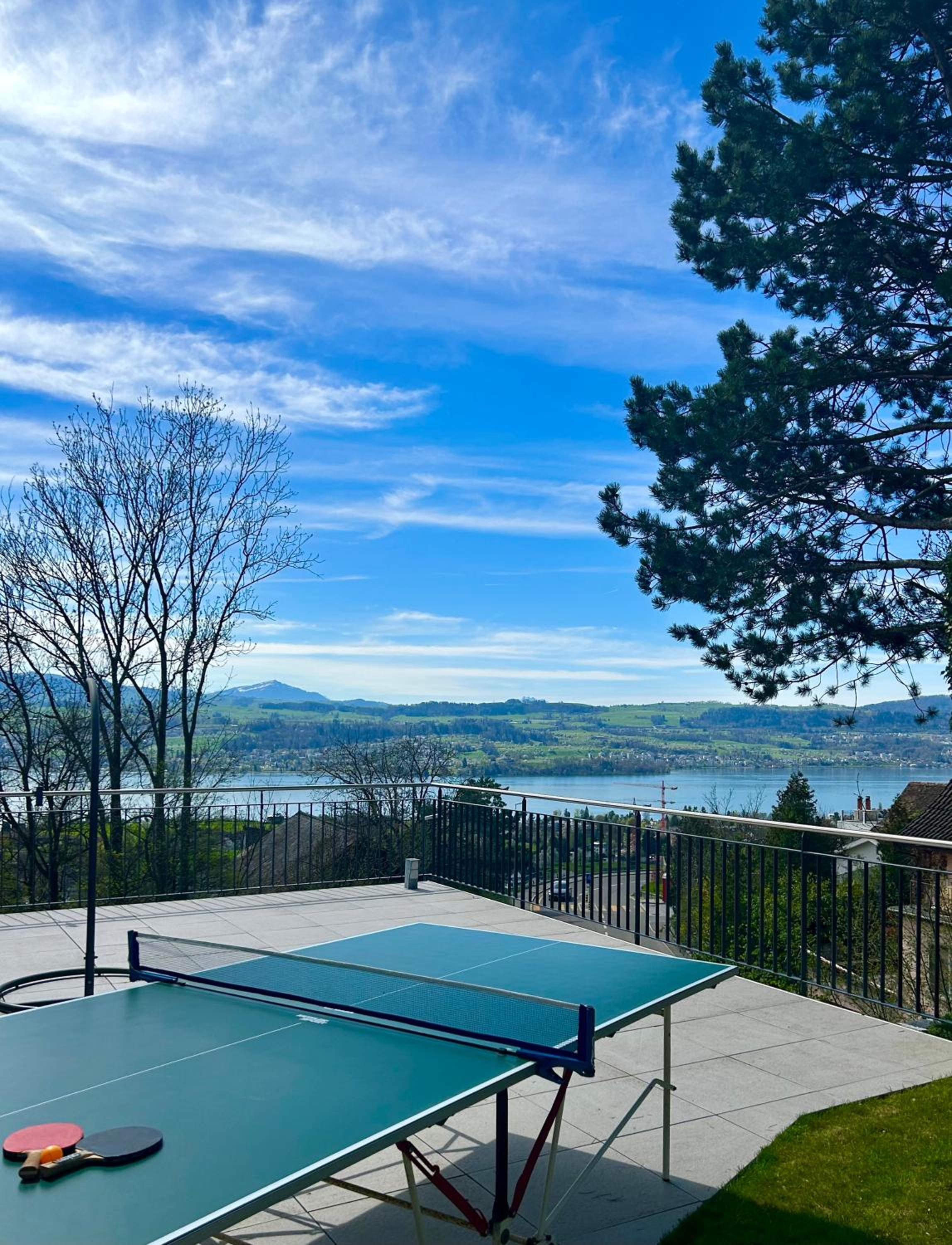 Modern Studio with Lake View near Zurich