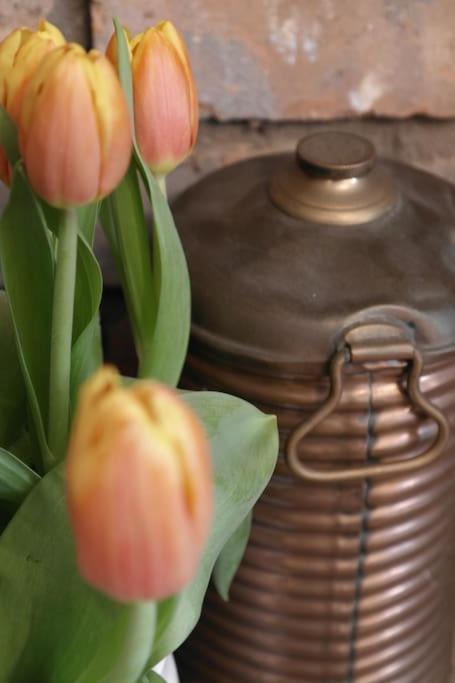Copperpot Cottage 3N June and early July stays now available! view 4