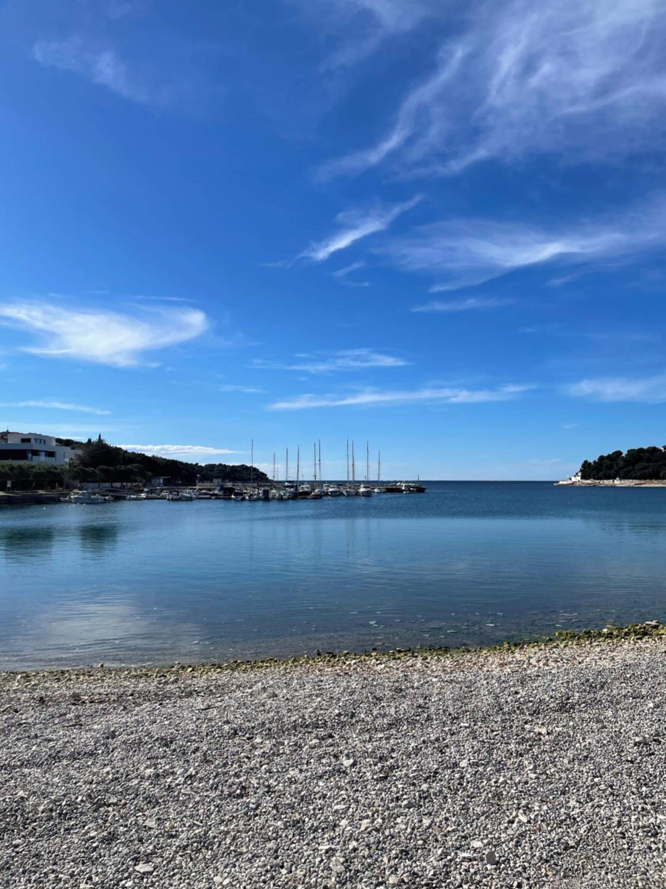 Apartments Antic