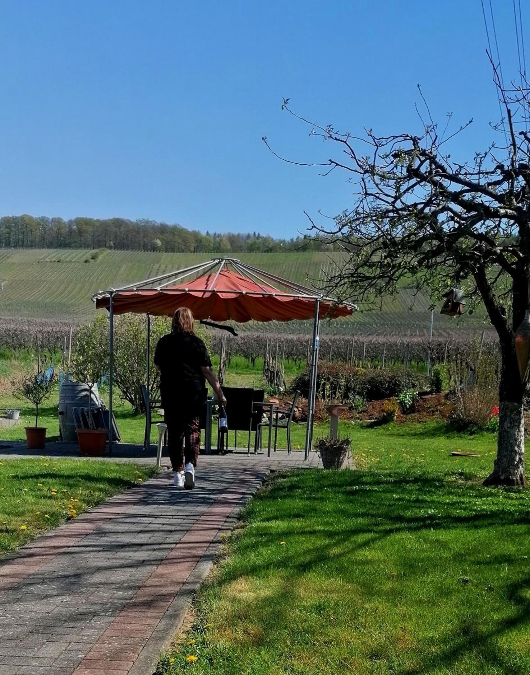 Weingut Tiliahof