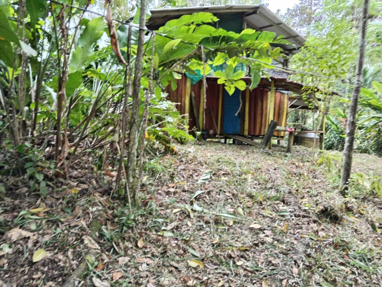 Blue Mountain Eko Lodge