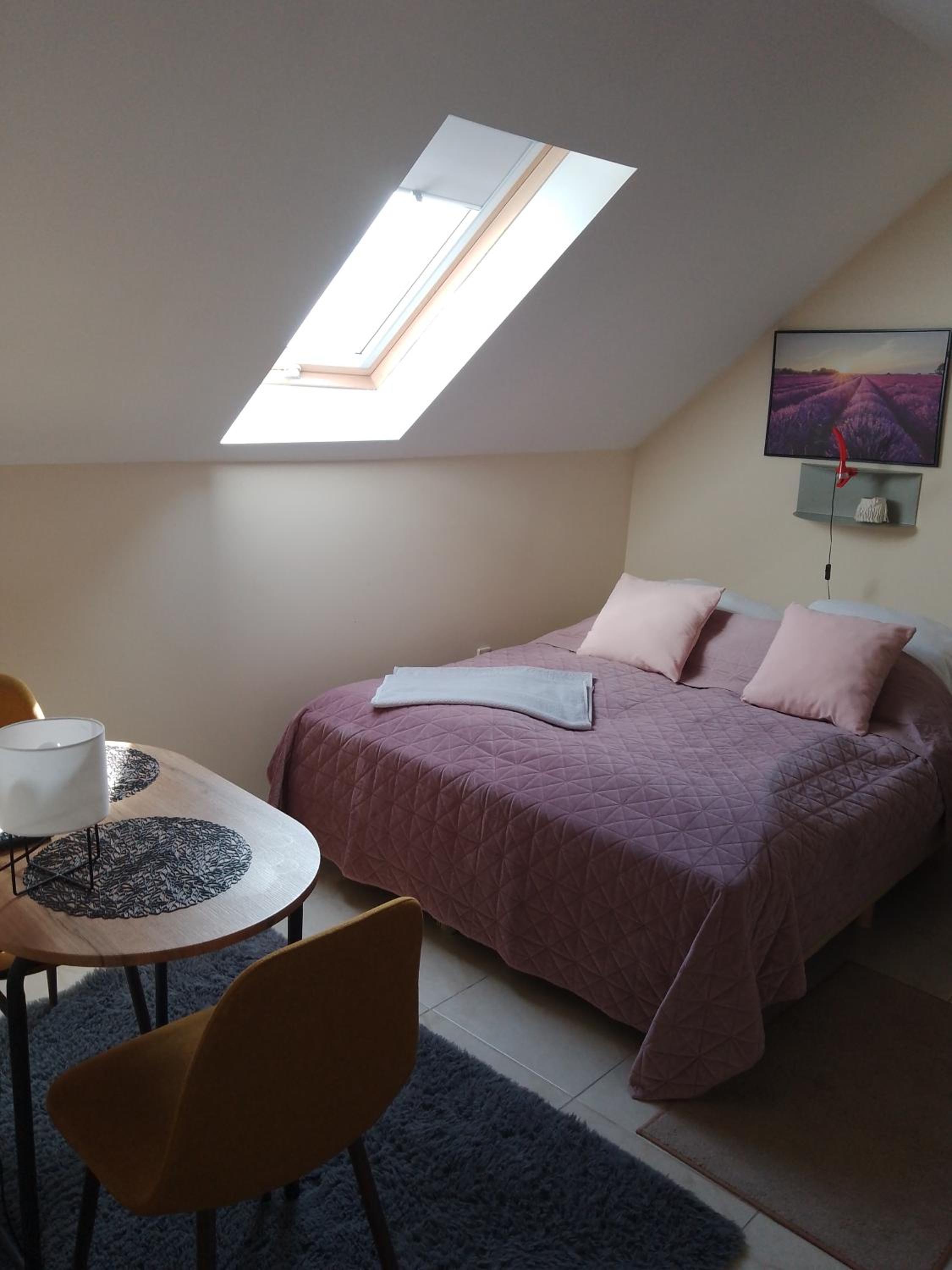 Motel Królowej Jadwigi Alicja Szymańska-Pokoje na Ogrodowej, photo 5