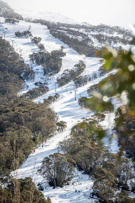 Cabin in the Snowy Mtns - Moonbah