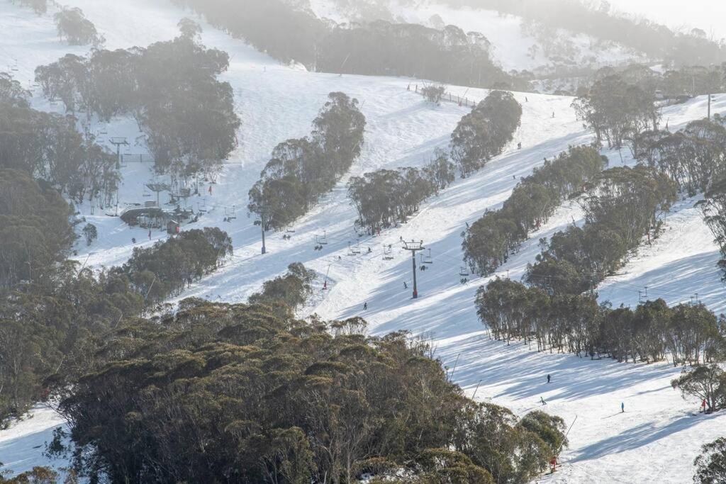Cabin in the Snowy Mtns - Moonbah