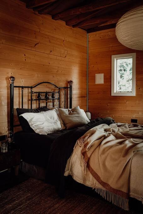 Cabin in the Snowy Mtns - Moonbah