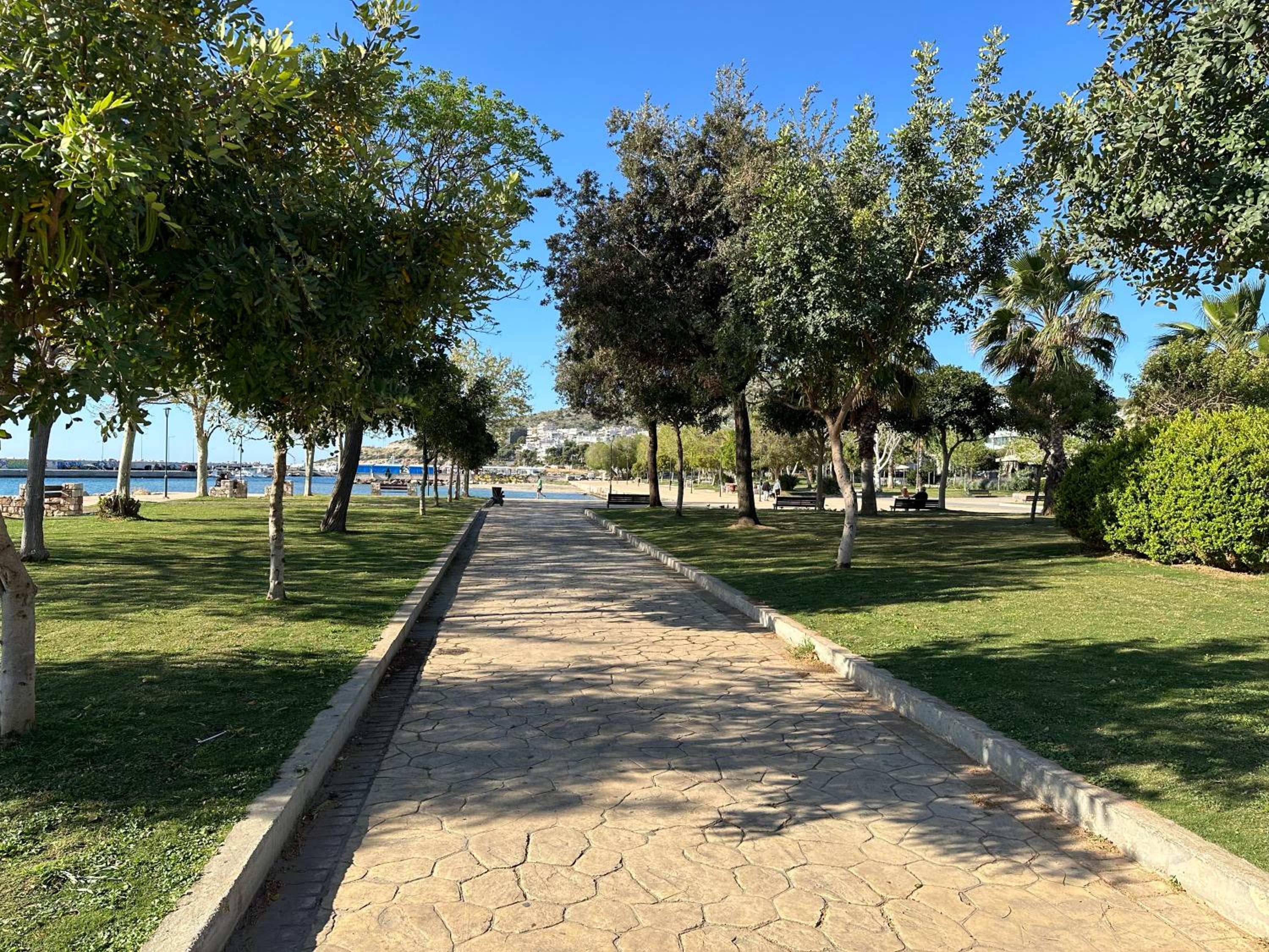 Photo 19