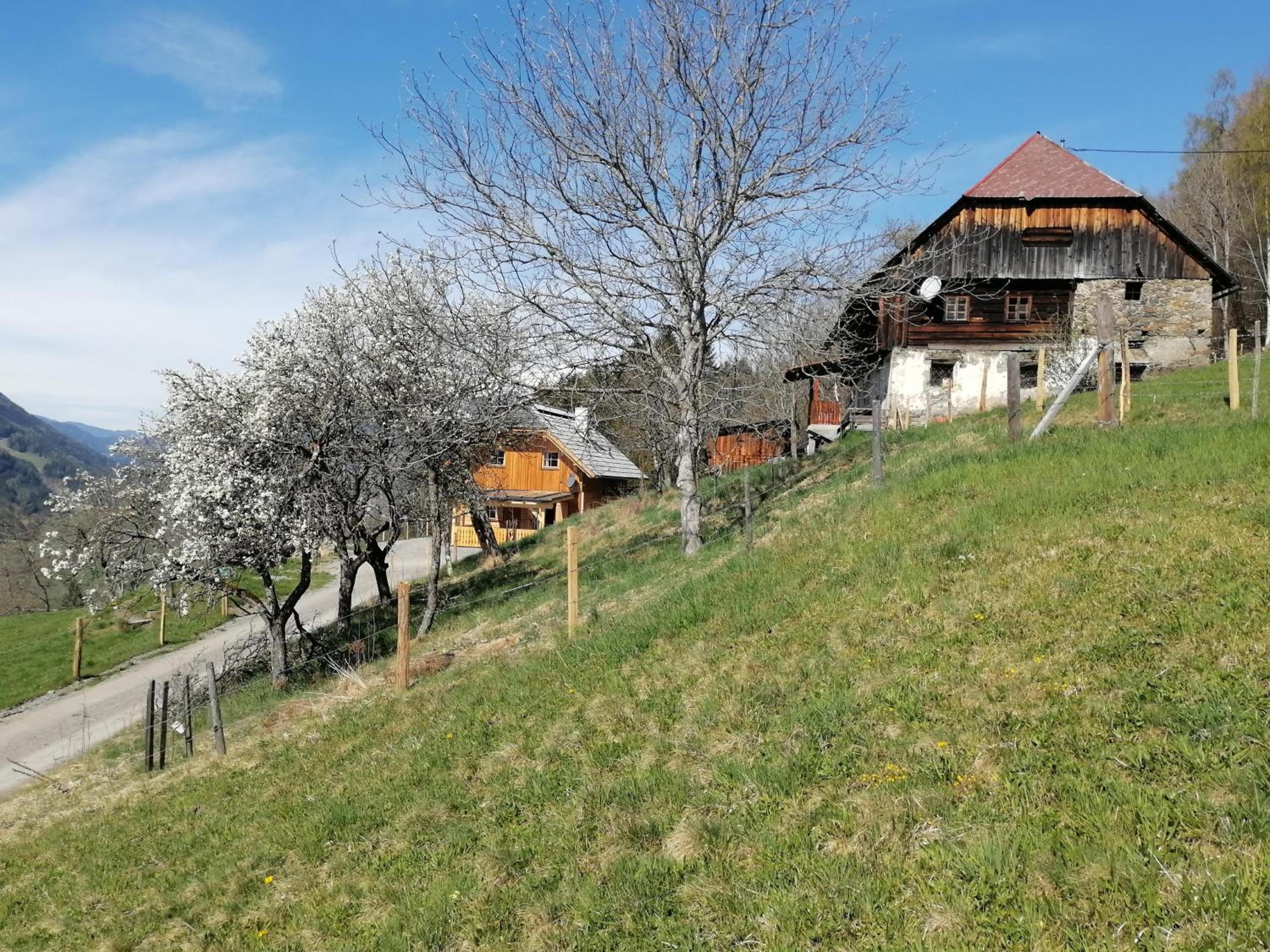Lärchenhaus ,,Unterer Brodl