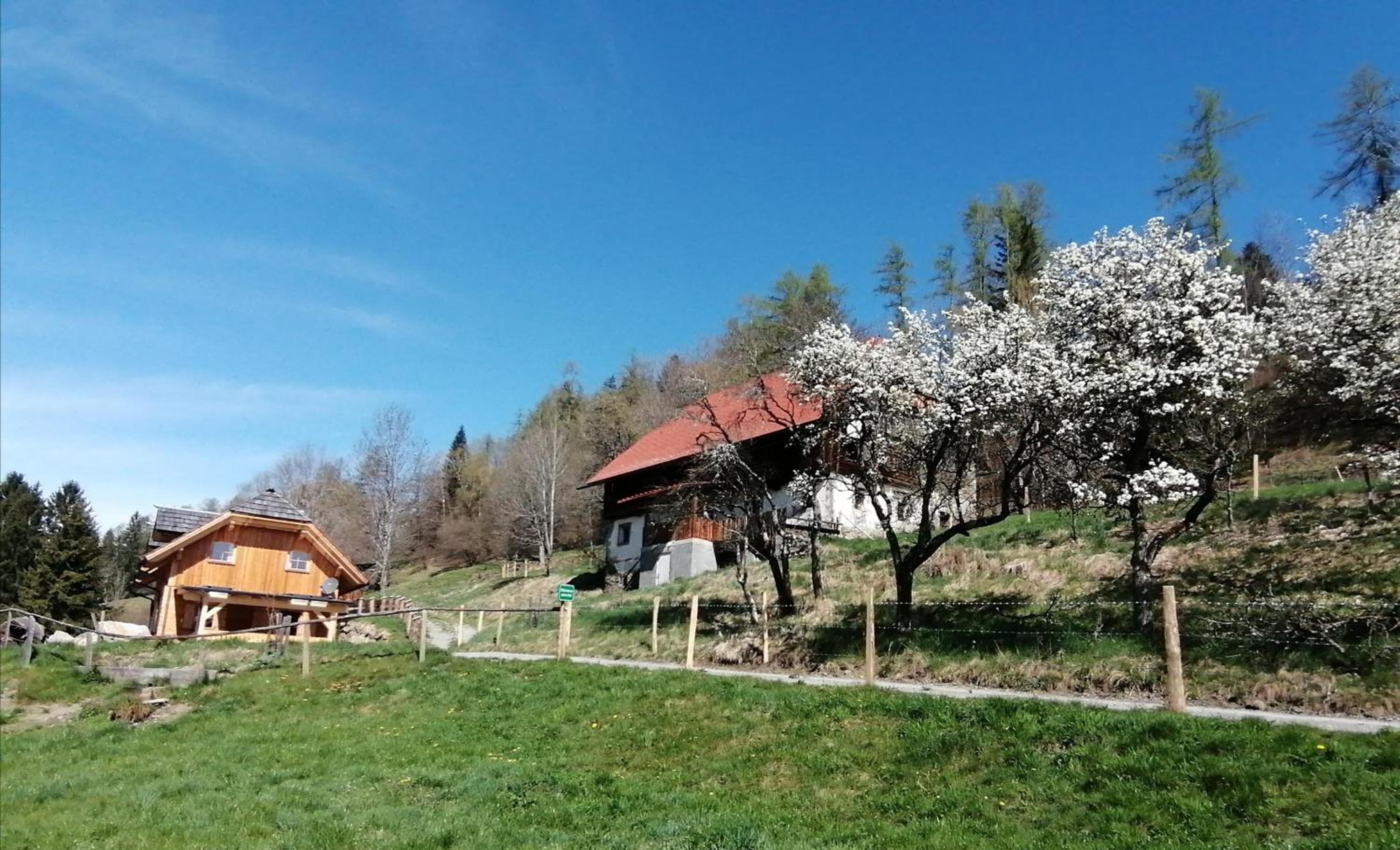Lärchenhaus ,,Unterer Brodl