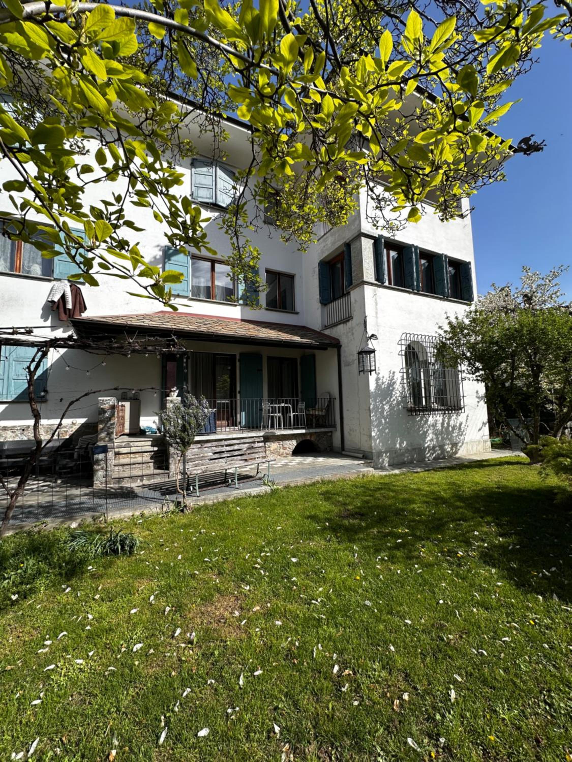 Photo 8