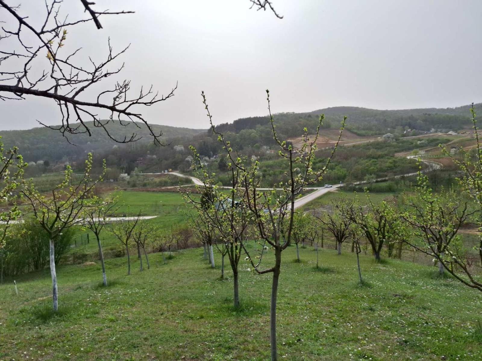 Panorama Vrdnik