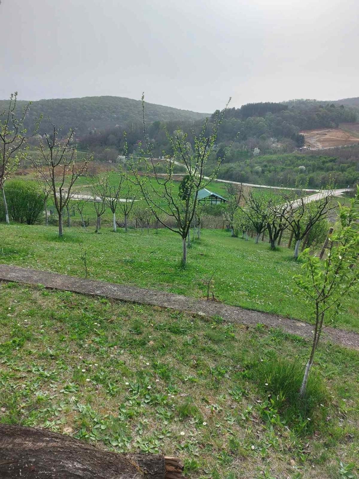 Panorama Vrdnik