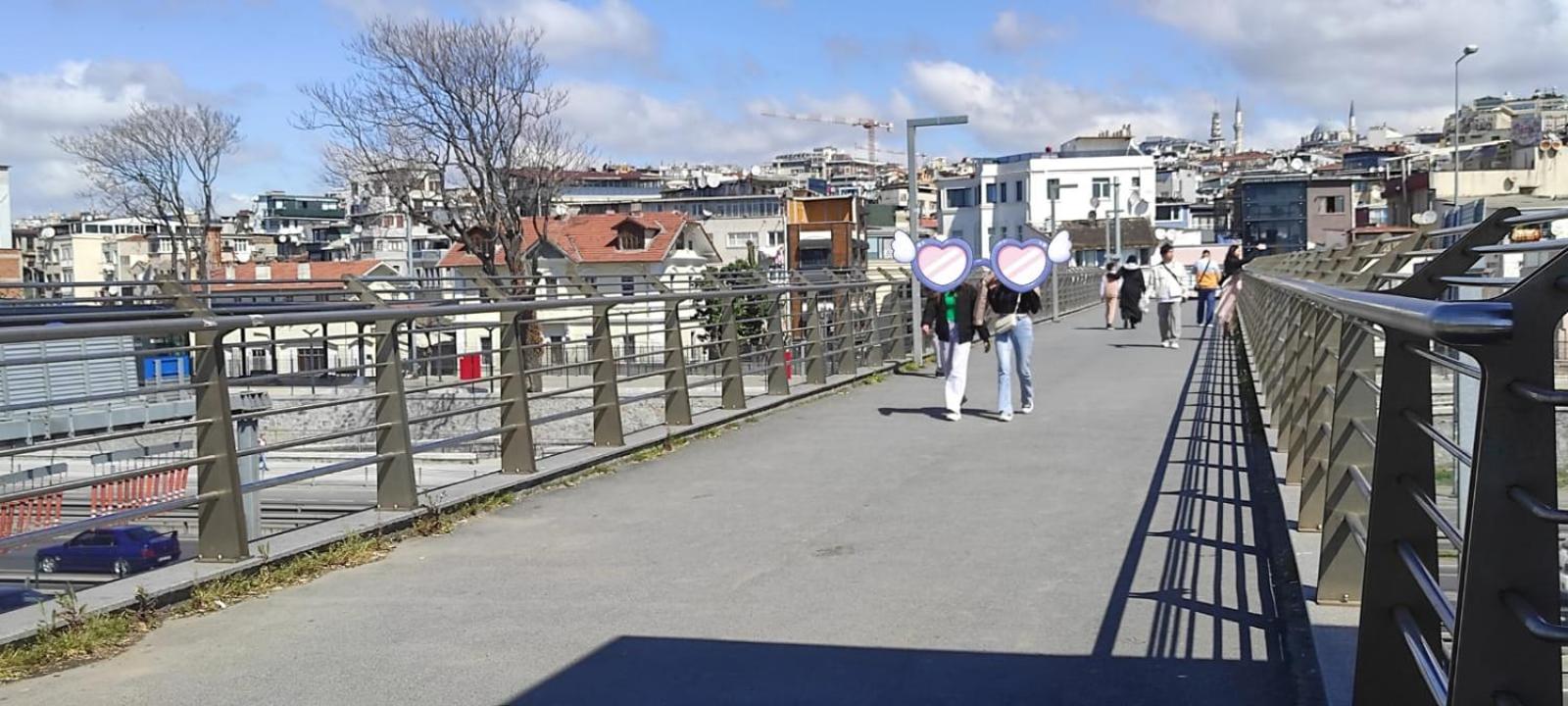 fafsuitehome - Image 39