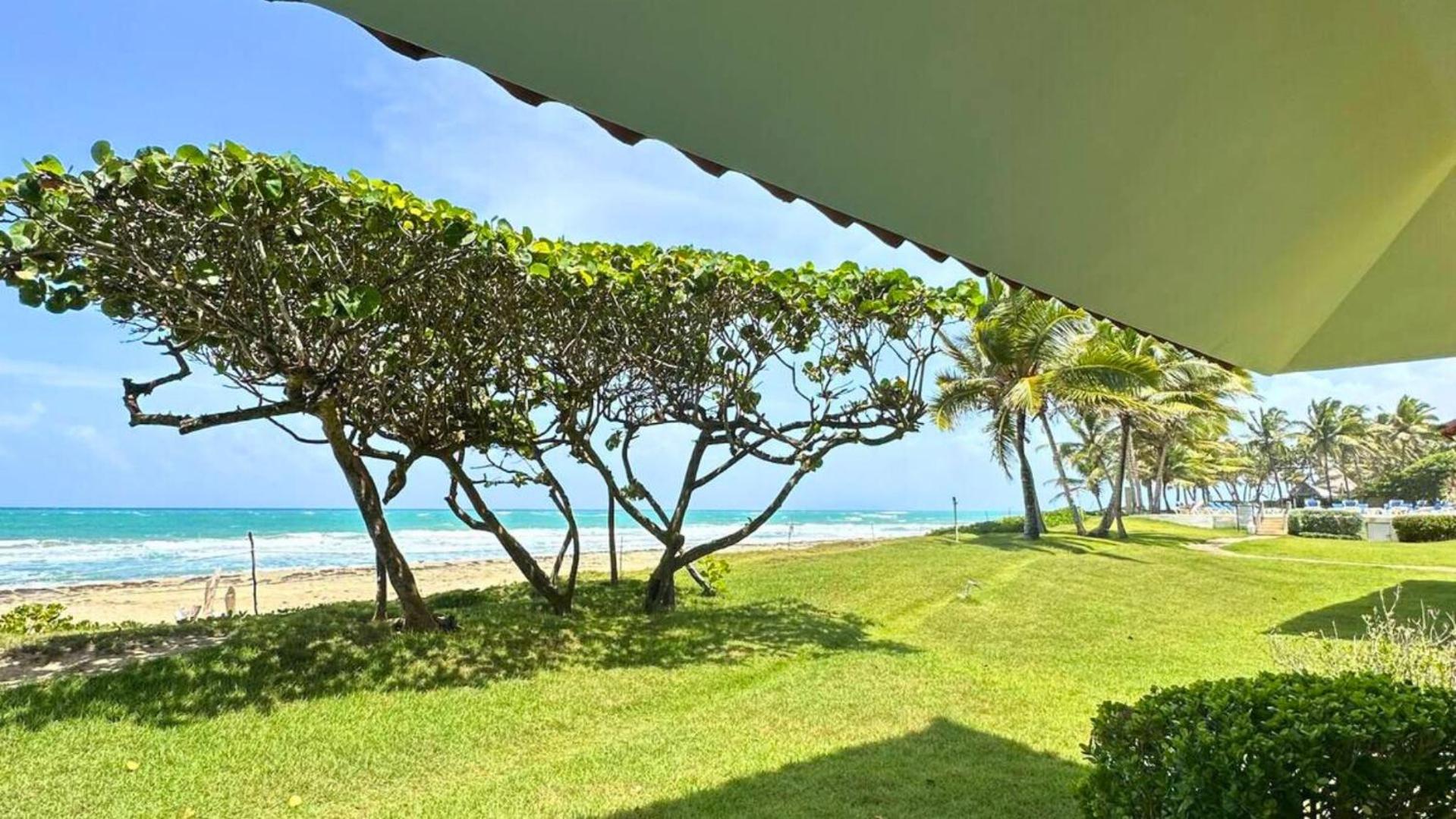 Panoramic Sea View in Cabarete. view 4