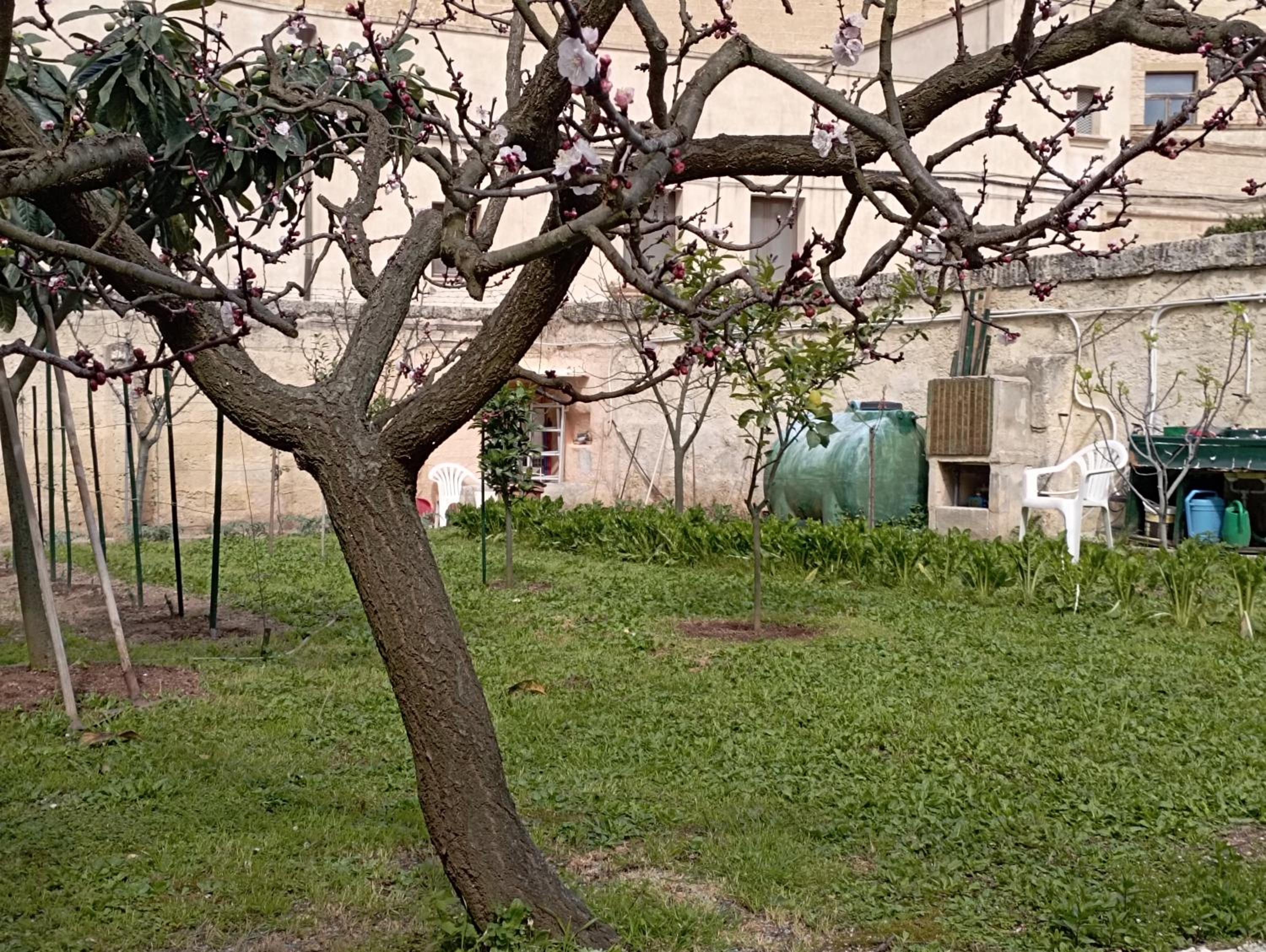 Appartamenti Cavour